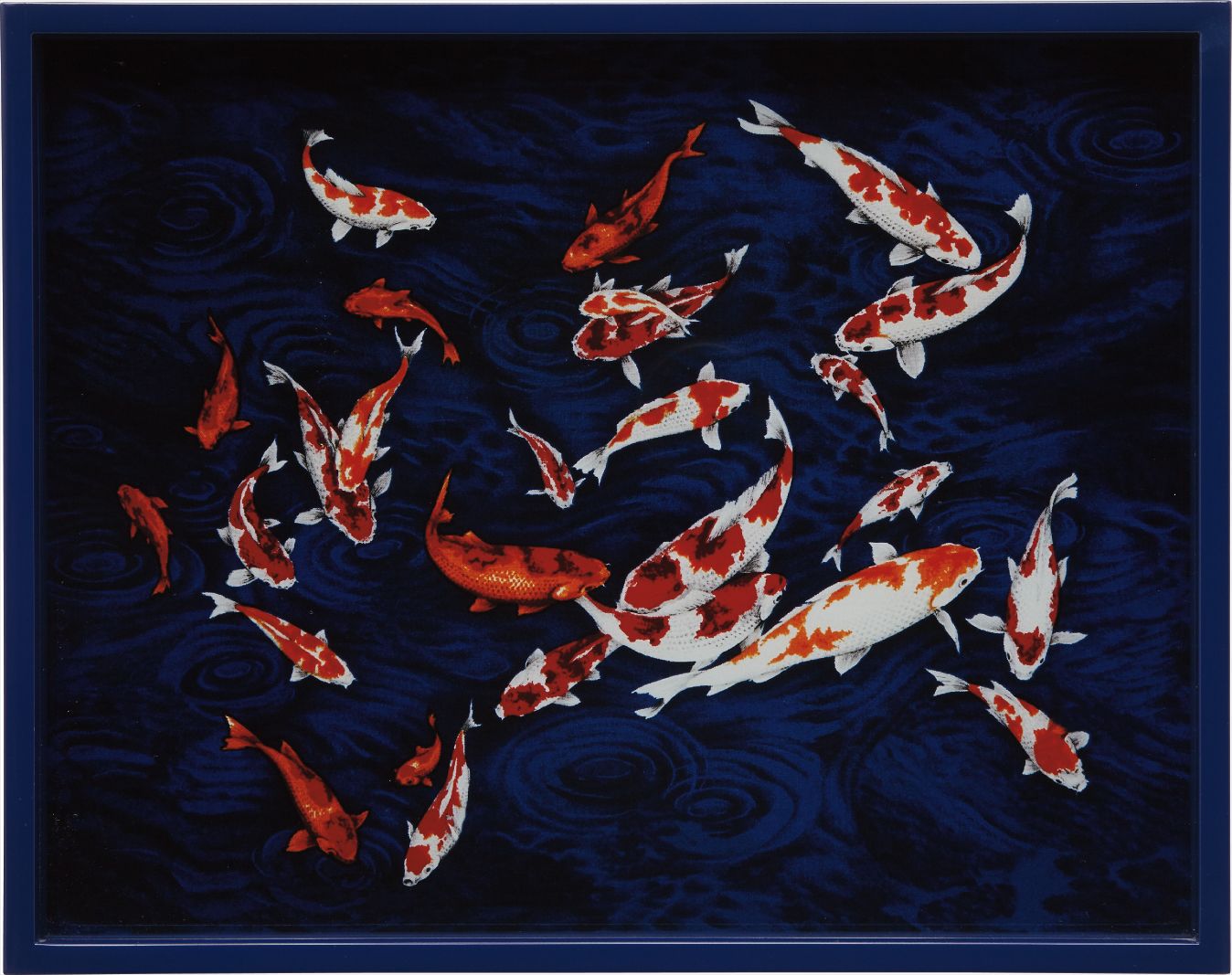 Elad Lassry — Coyfish