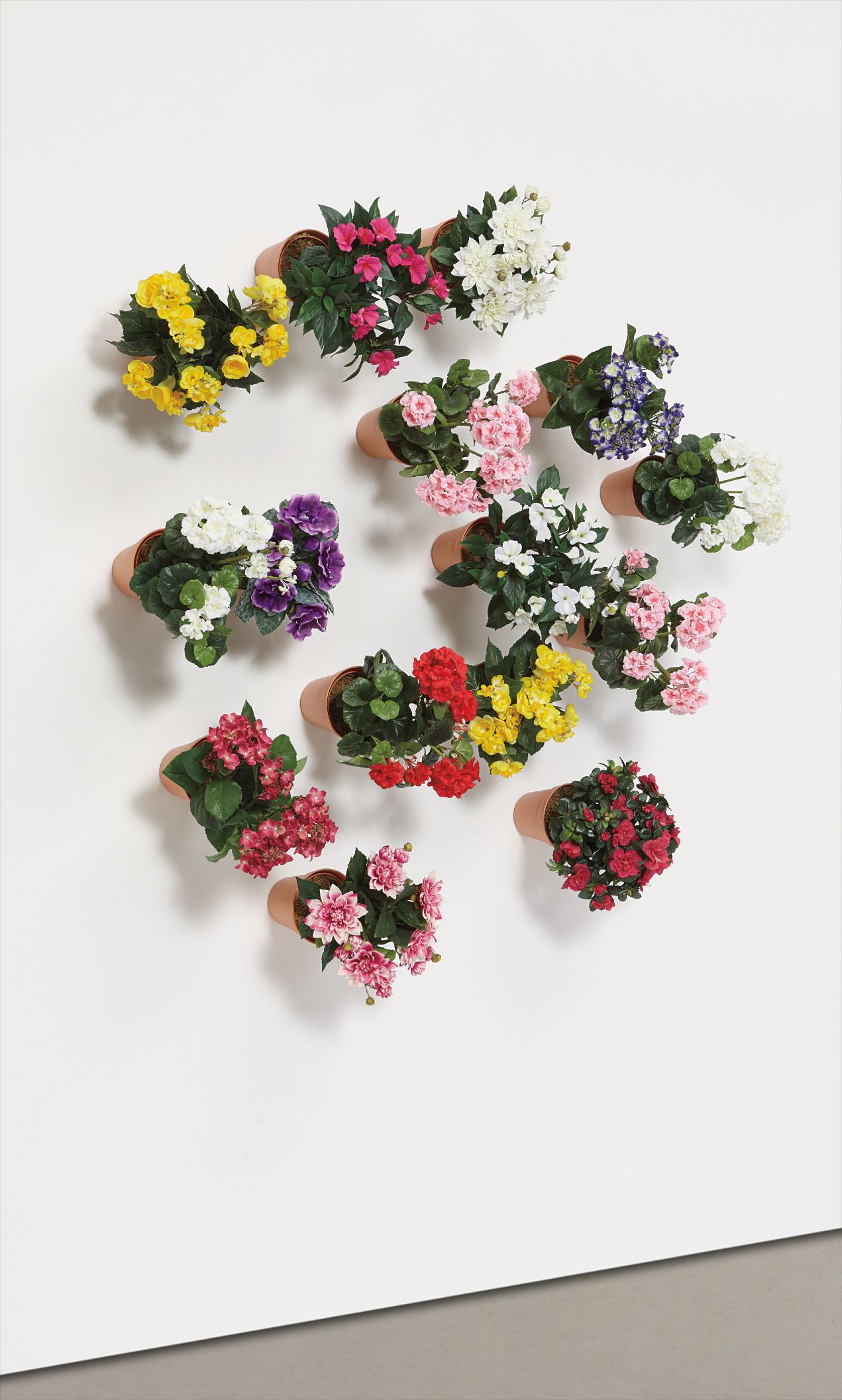 Hans-Peter Feldmann — Flower Pot