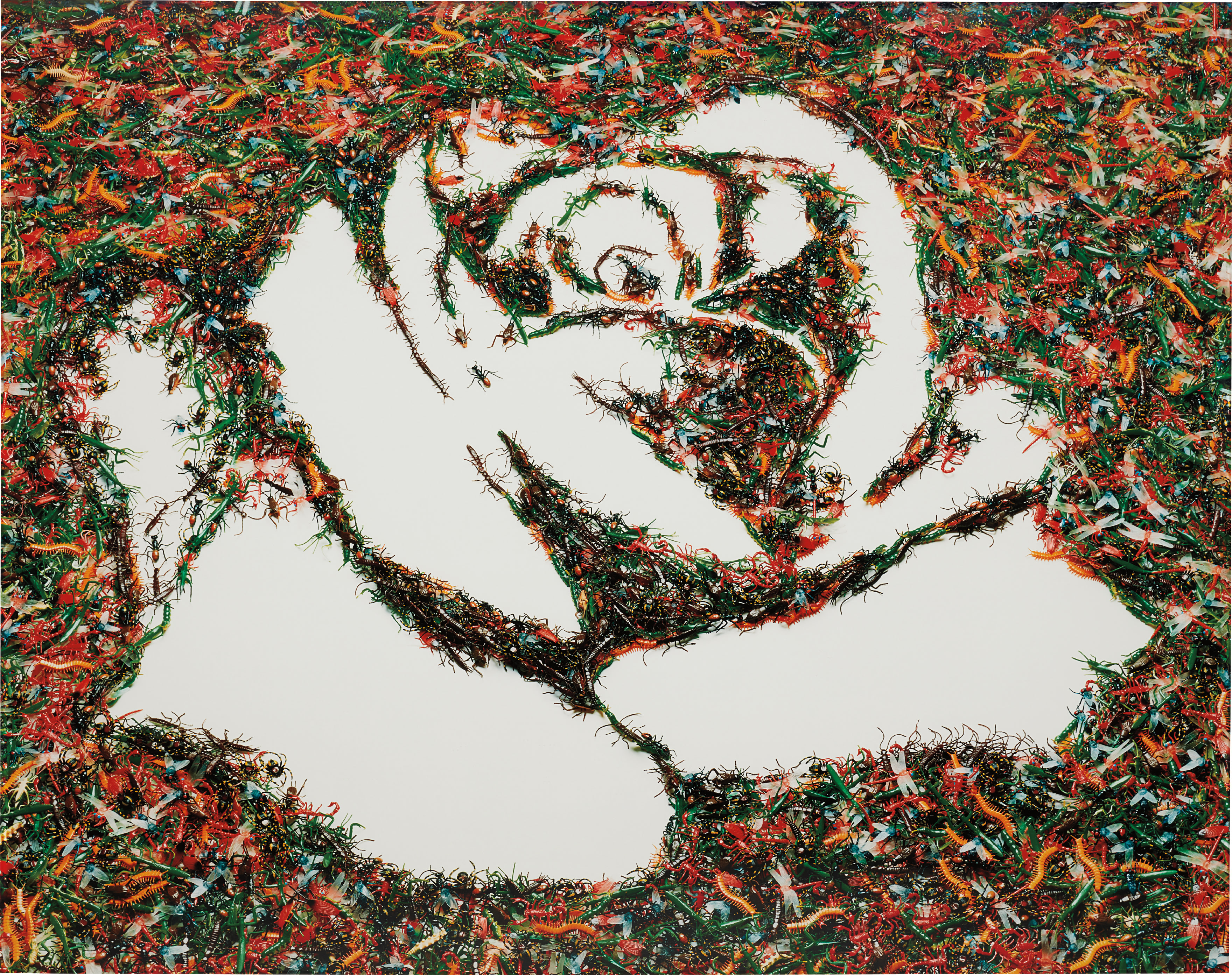 Vik Muniz — The White Rose (from the Monad Series)