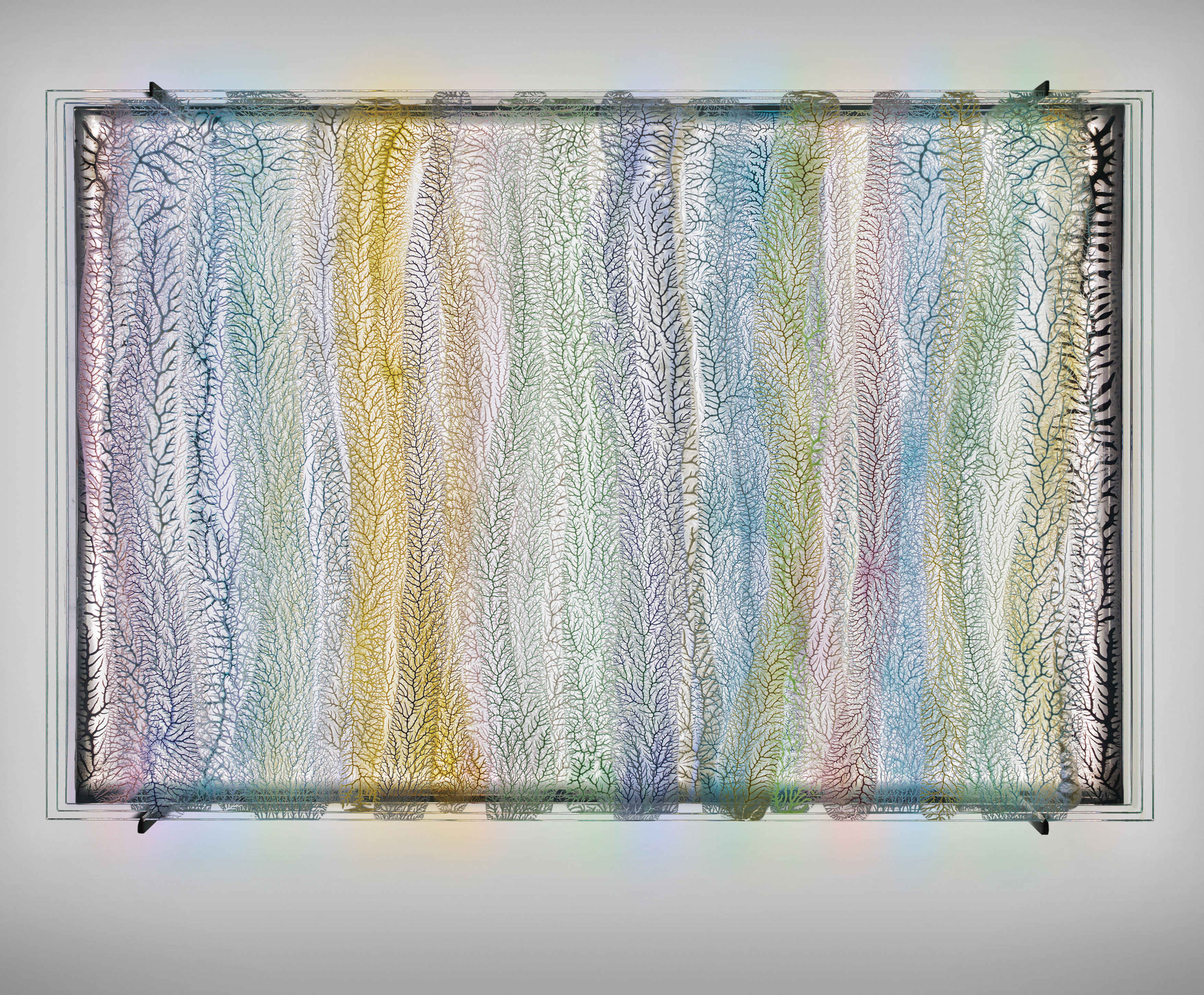 Peter Bynum — Infinite Walks through the Same Fields