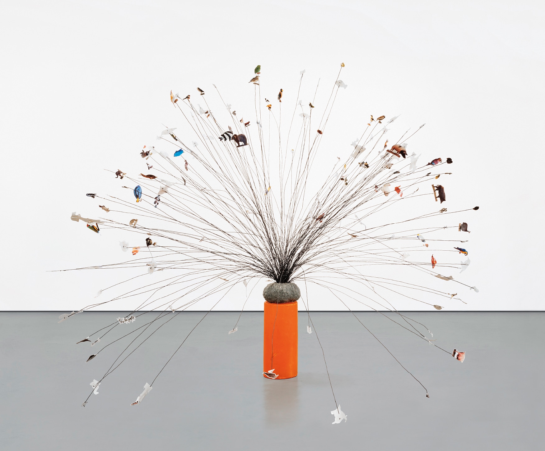 Abraham Cruzvillegas — Observatorio oriente (Eastern Observatory)