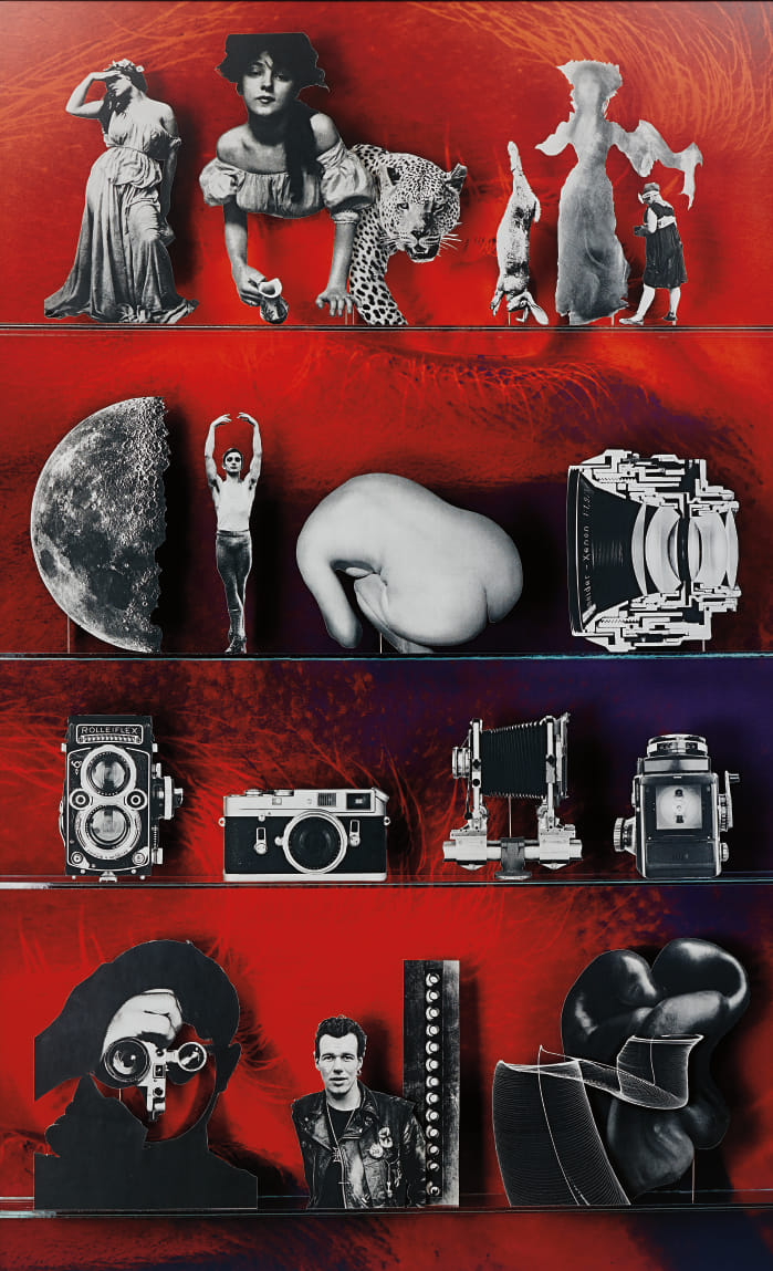 Matt Lipps — Camera