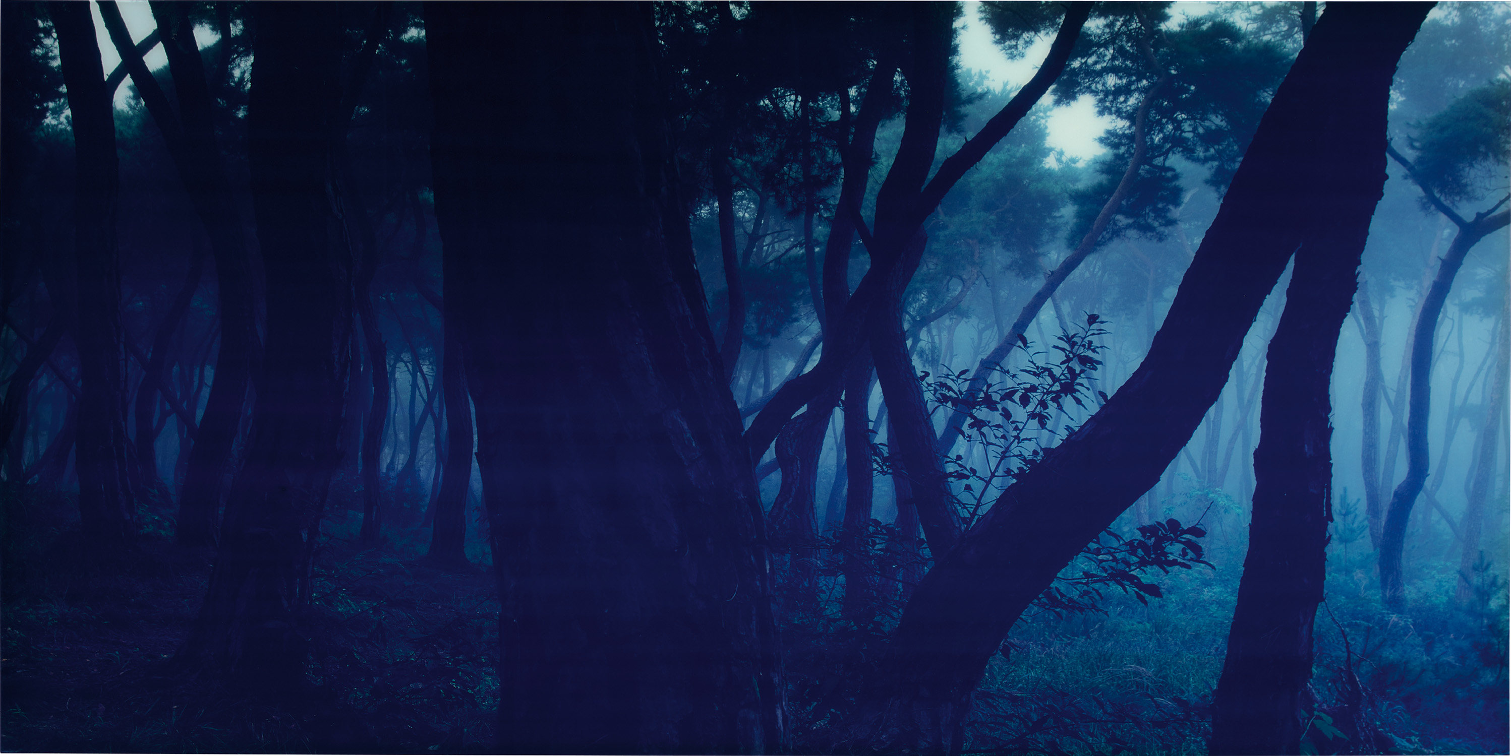 SNM1A-006H from the series SONAMU