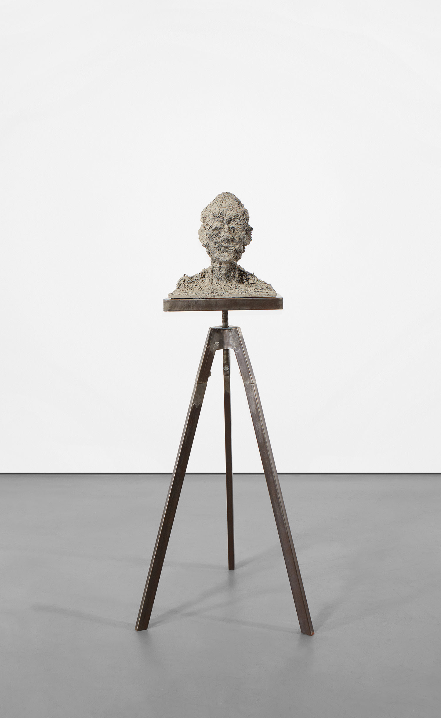 Zhang Huan — Ash Head No. 28