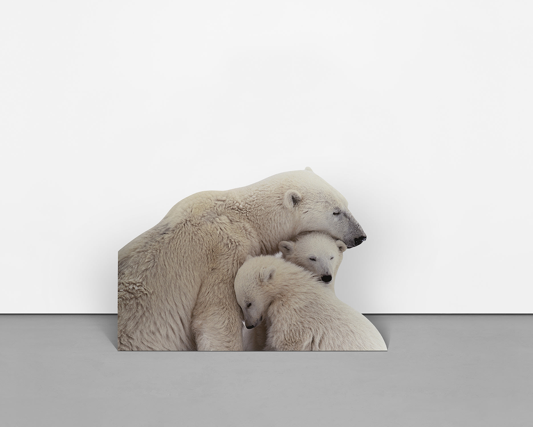 Katja Novitskova — Approximation VI