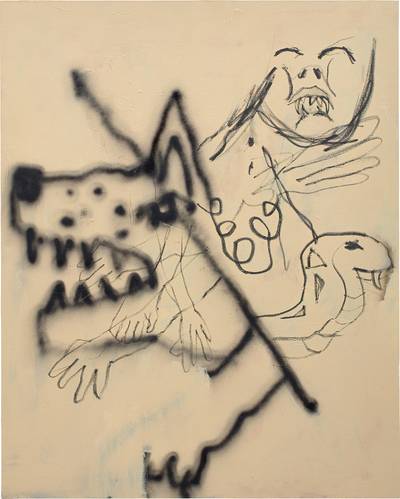 Vision Probably Rabies