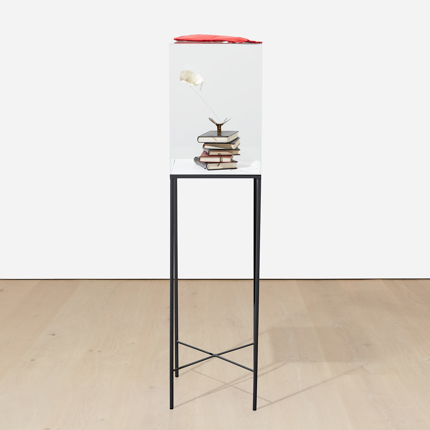 Le papillon du divin marquis