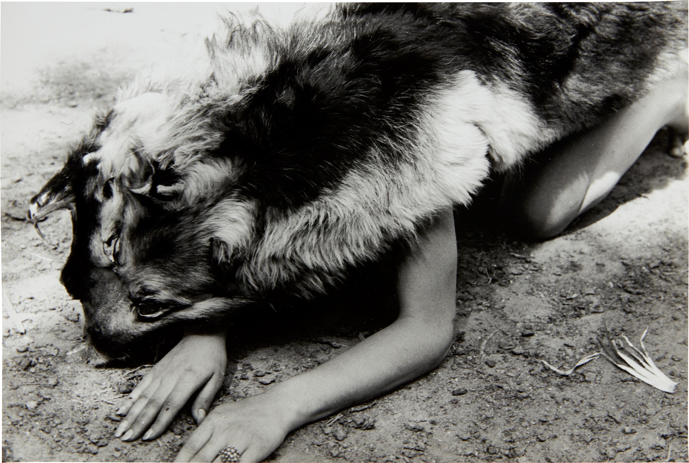 Ana Mendieta — Dog