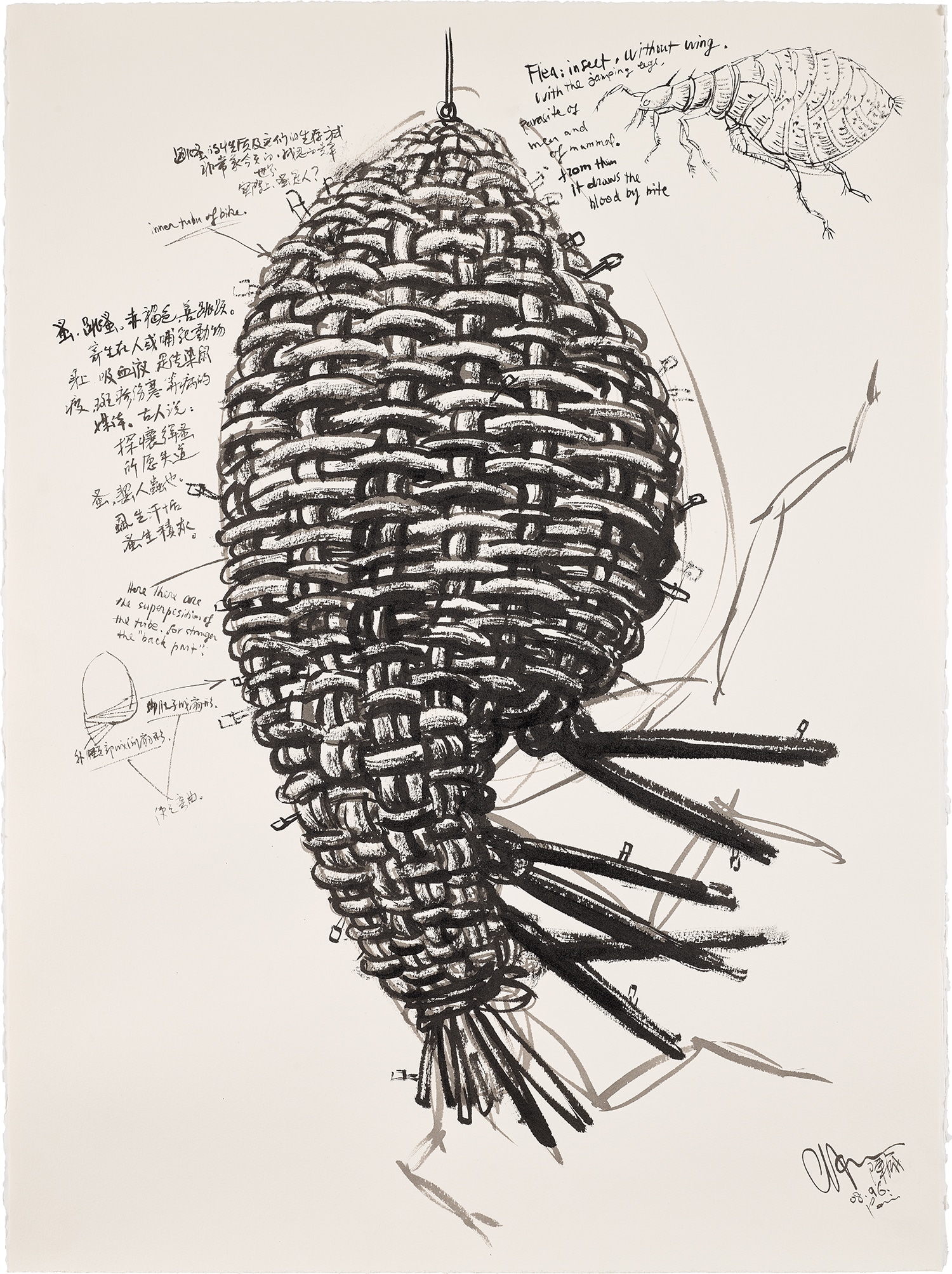 Drawing for "Flea-House"