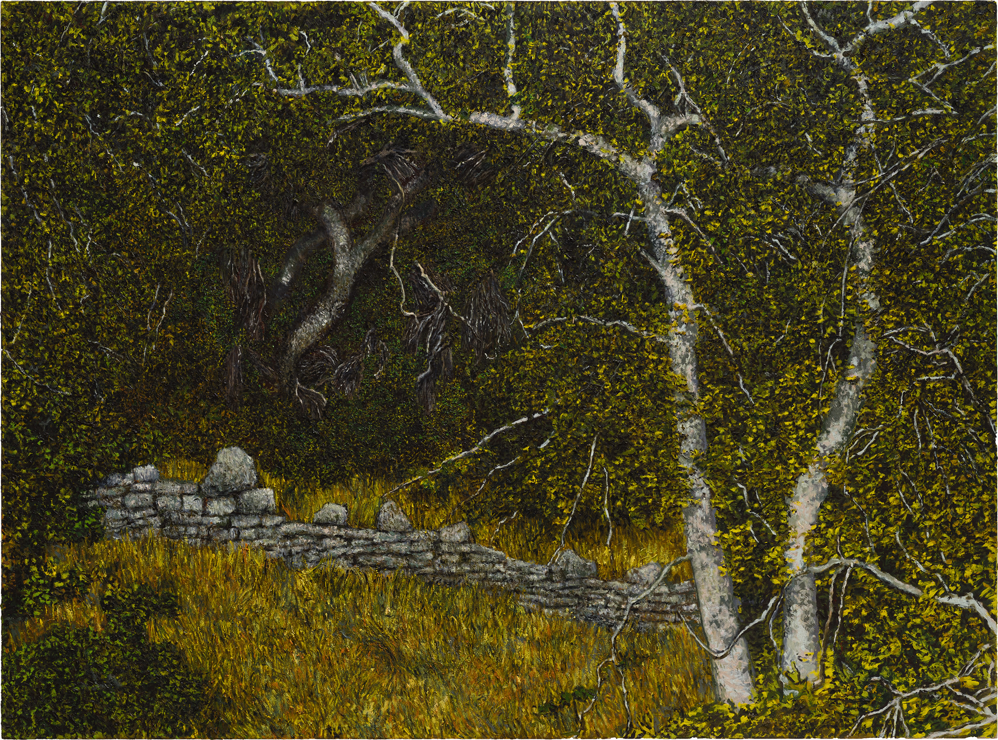 JP Munro — Arroyo Seco Cabin Site