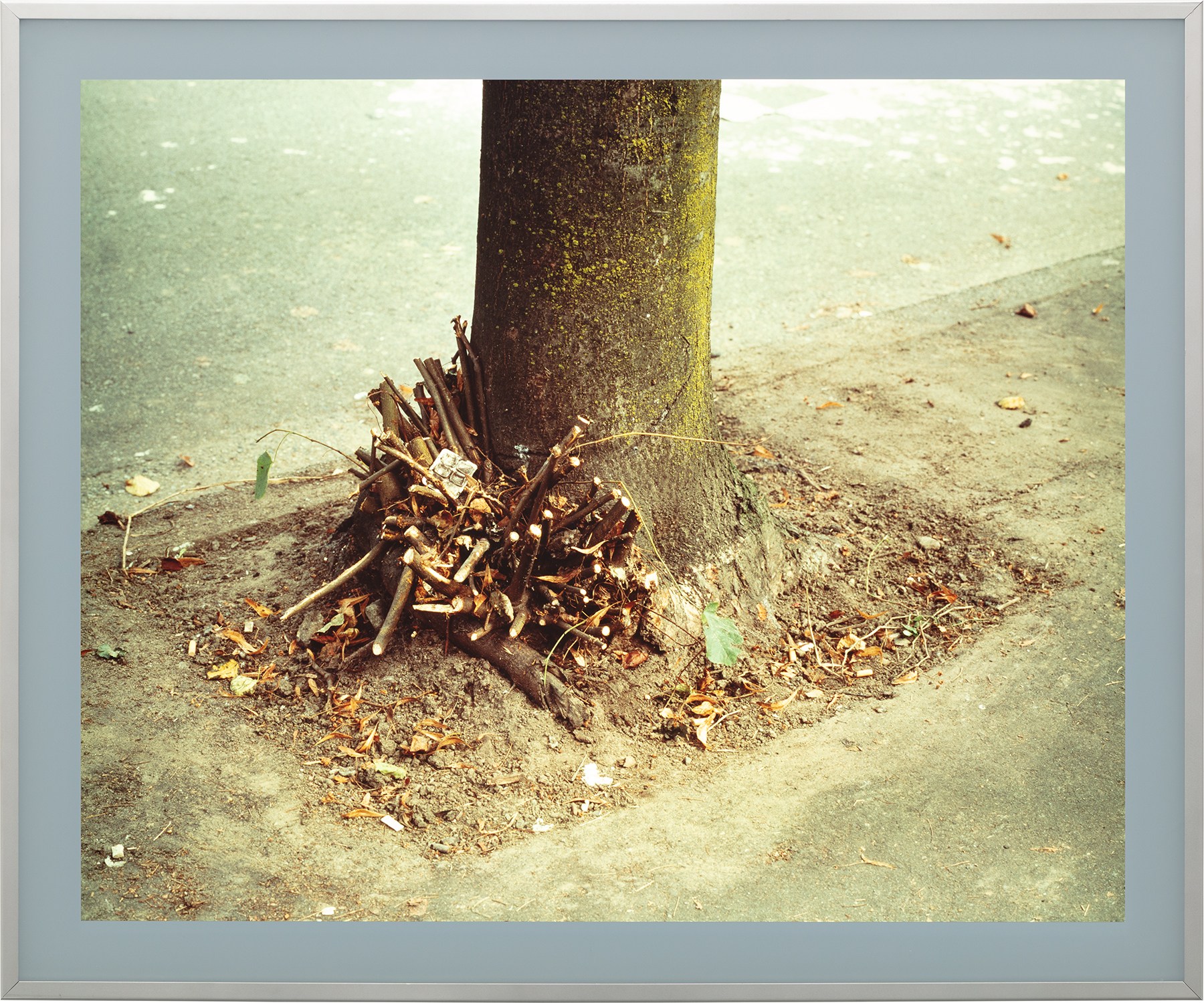Jeff Wall — Clipped Branches, E. Cordova St., Vancouver