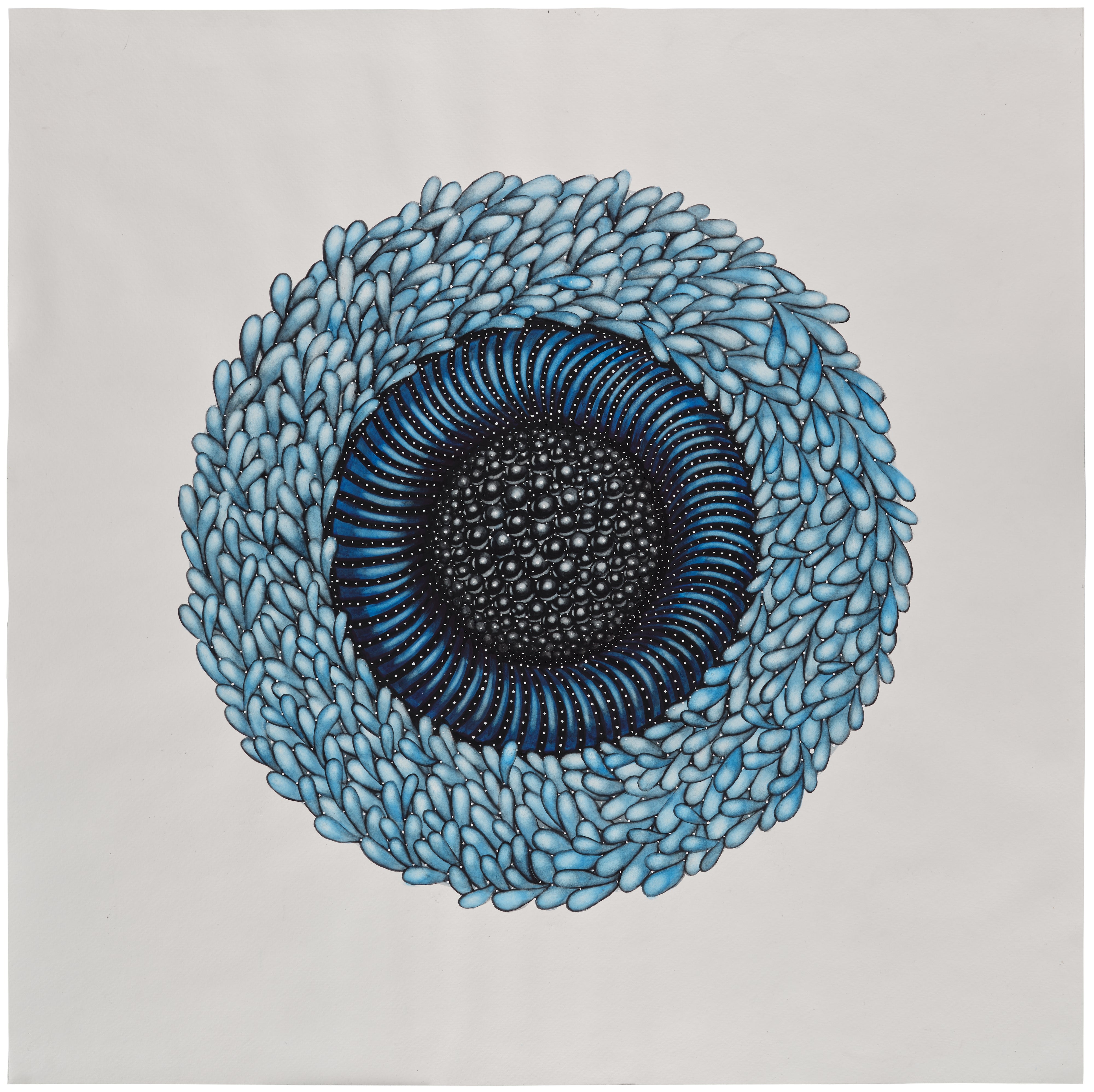 Sky Kim — Untitled from the Portal Series