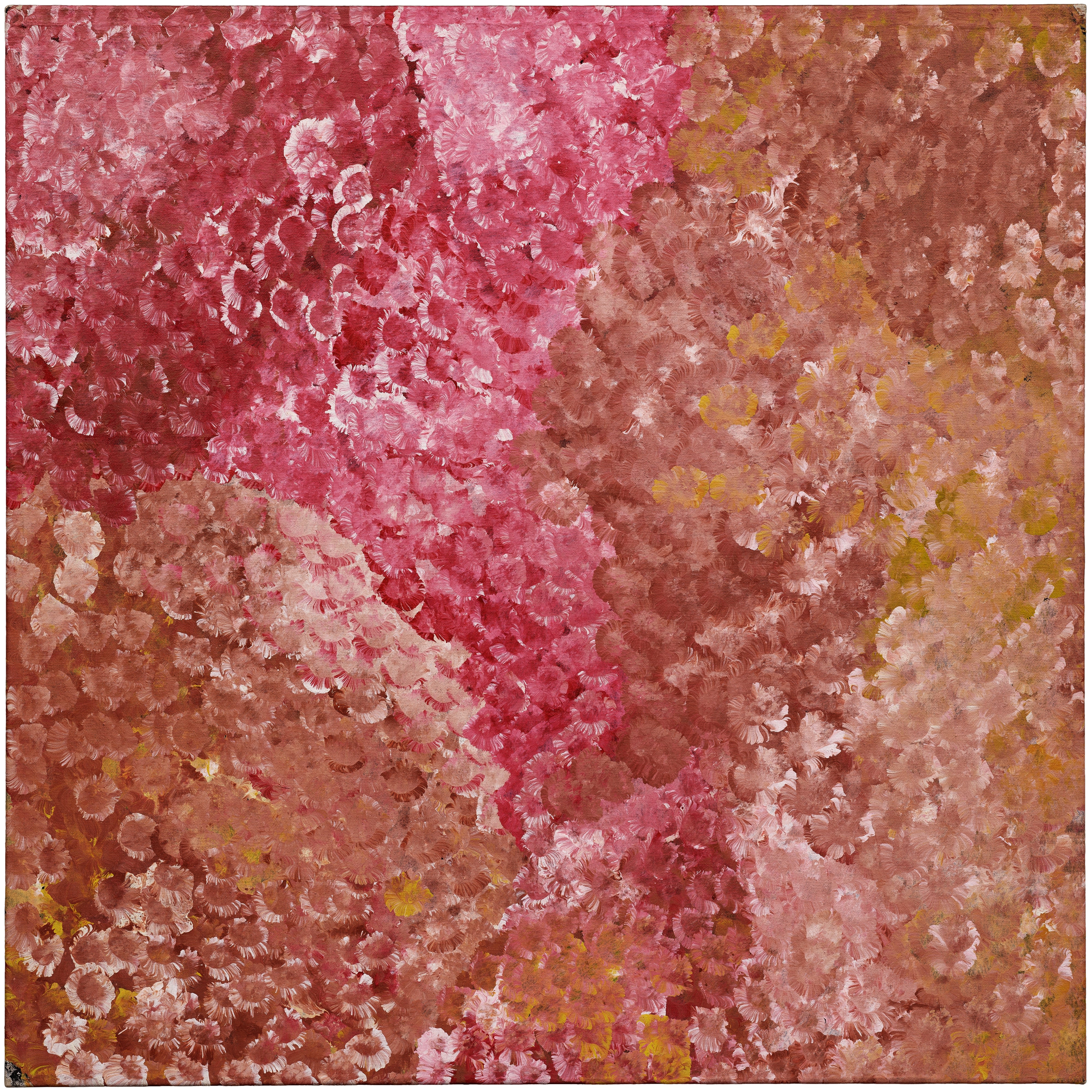 Emily Kame Kngwarreye — My Country