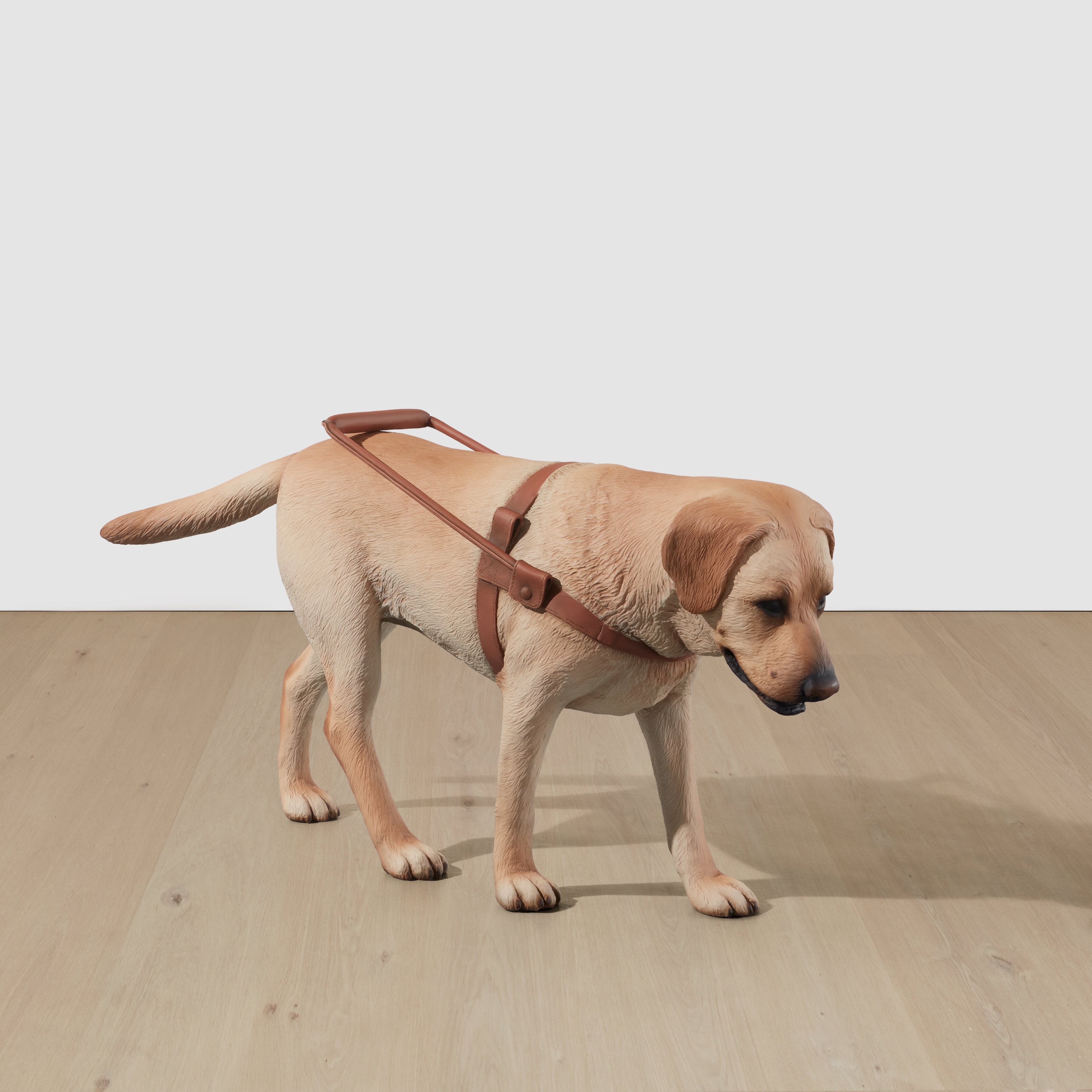 Tony Matelli — Stray Dog