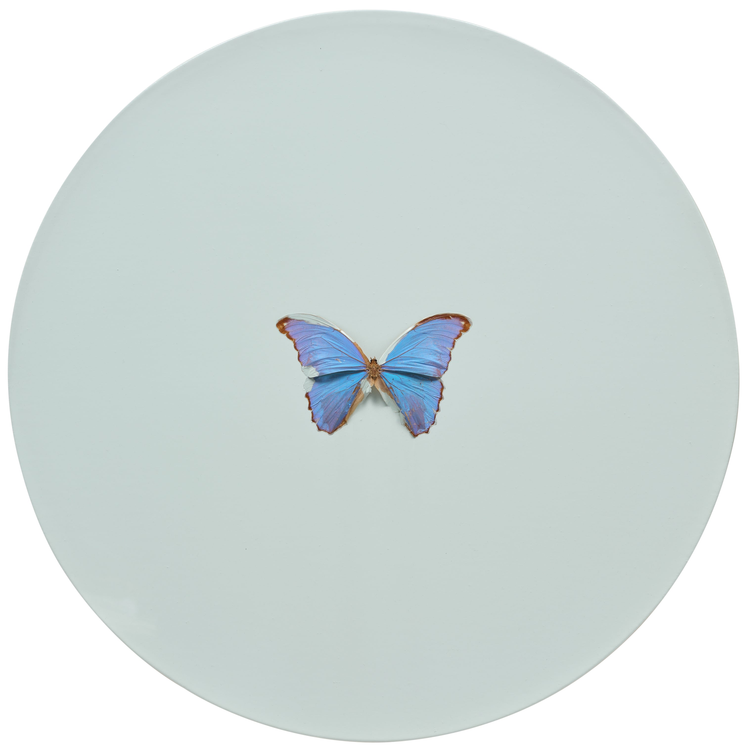 Damien Hirst — Capricorn
