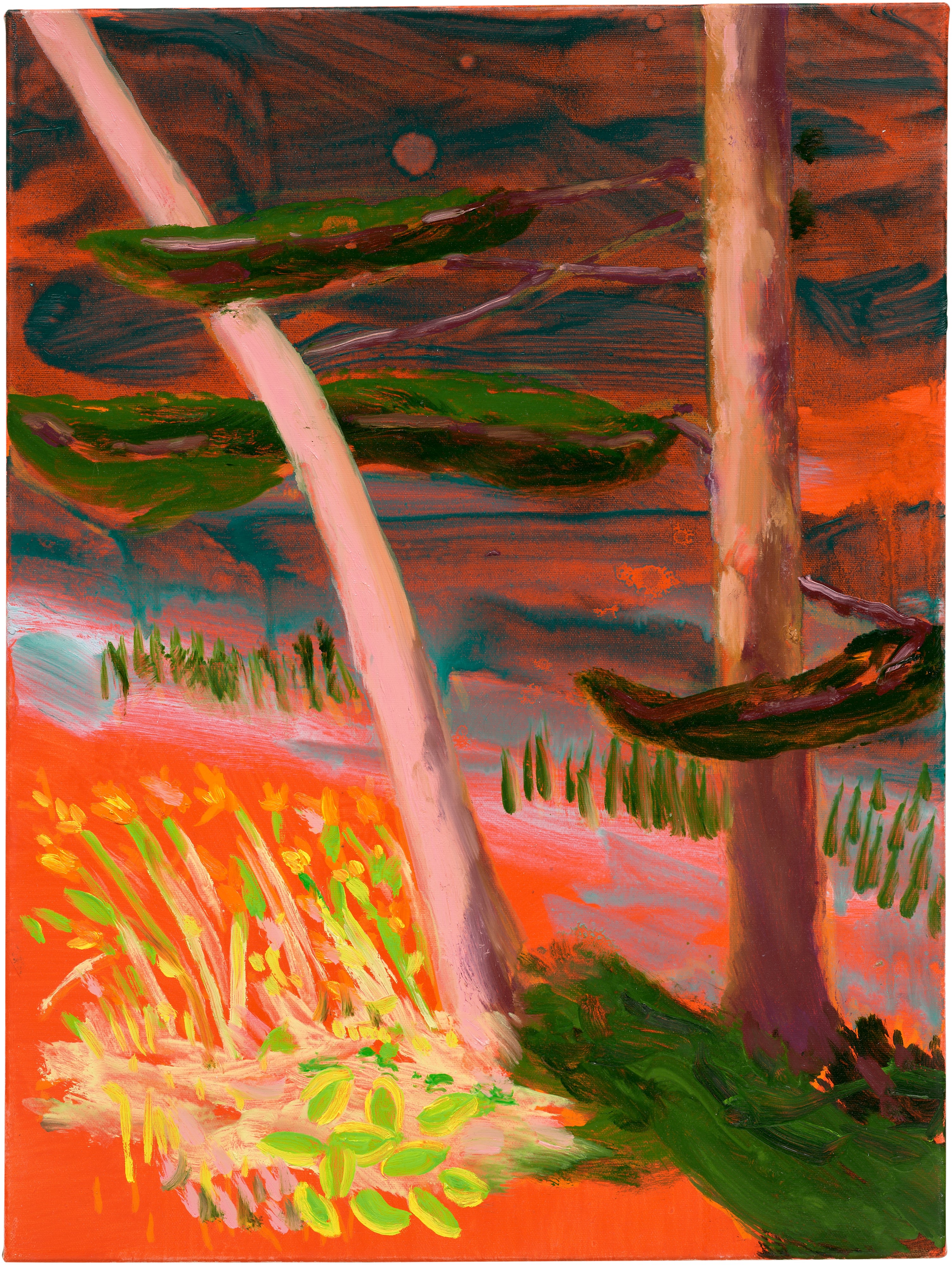 Nicole Wittenberg — Alford Lake