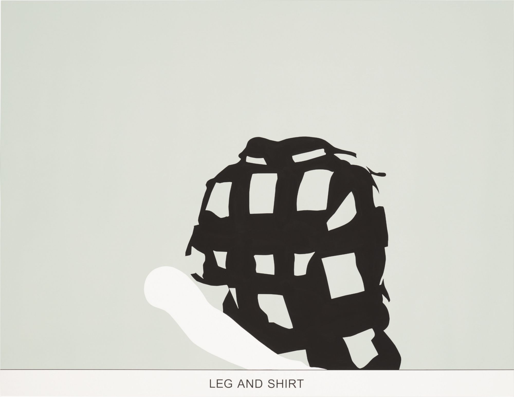 Sediment: Leg and Shirt