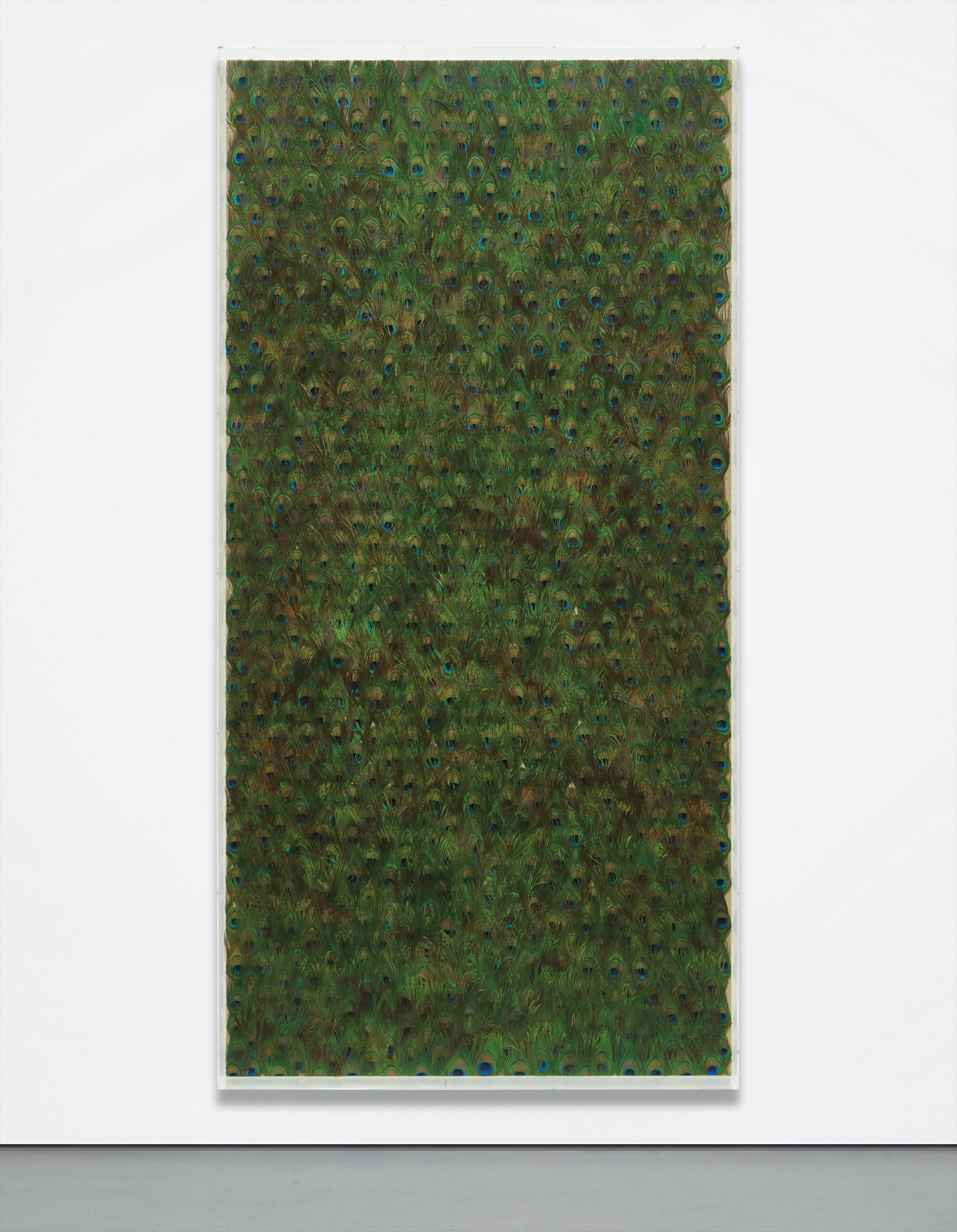 Carol Bove — peacock feathers on linen in Plexiglas frame