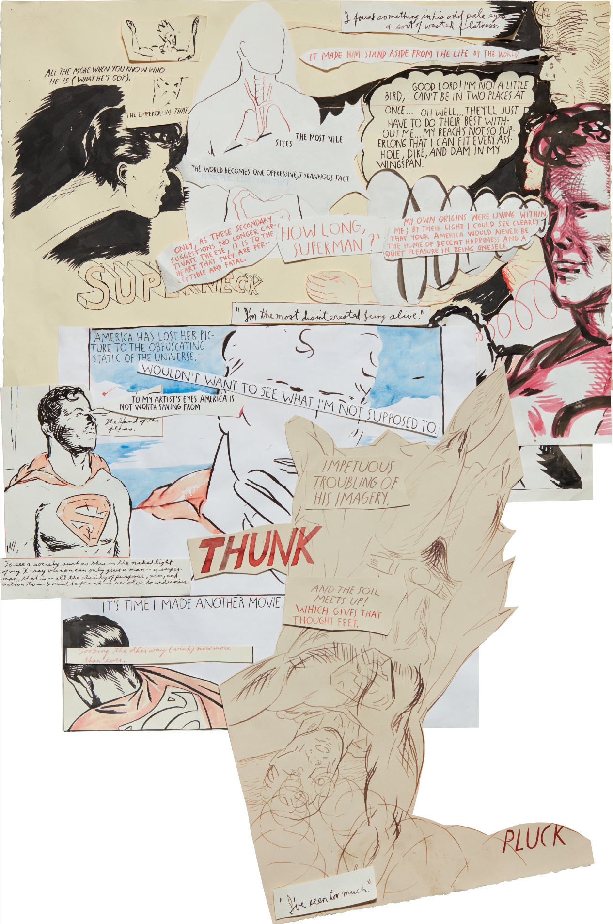 Raymond Pettibon — Superneck