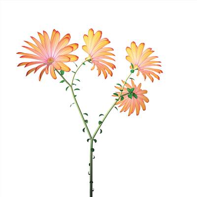 Dance Hall Girl #3 (daisies)