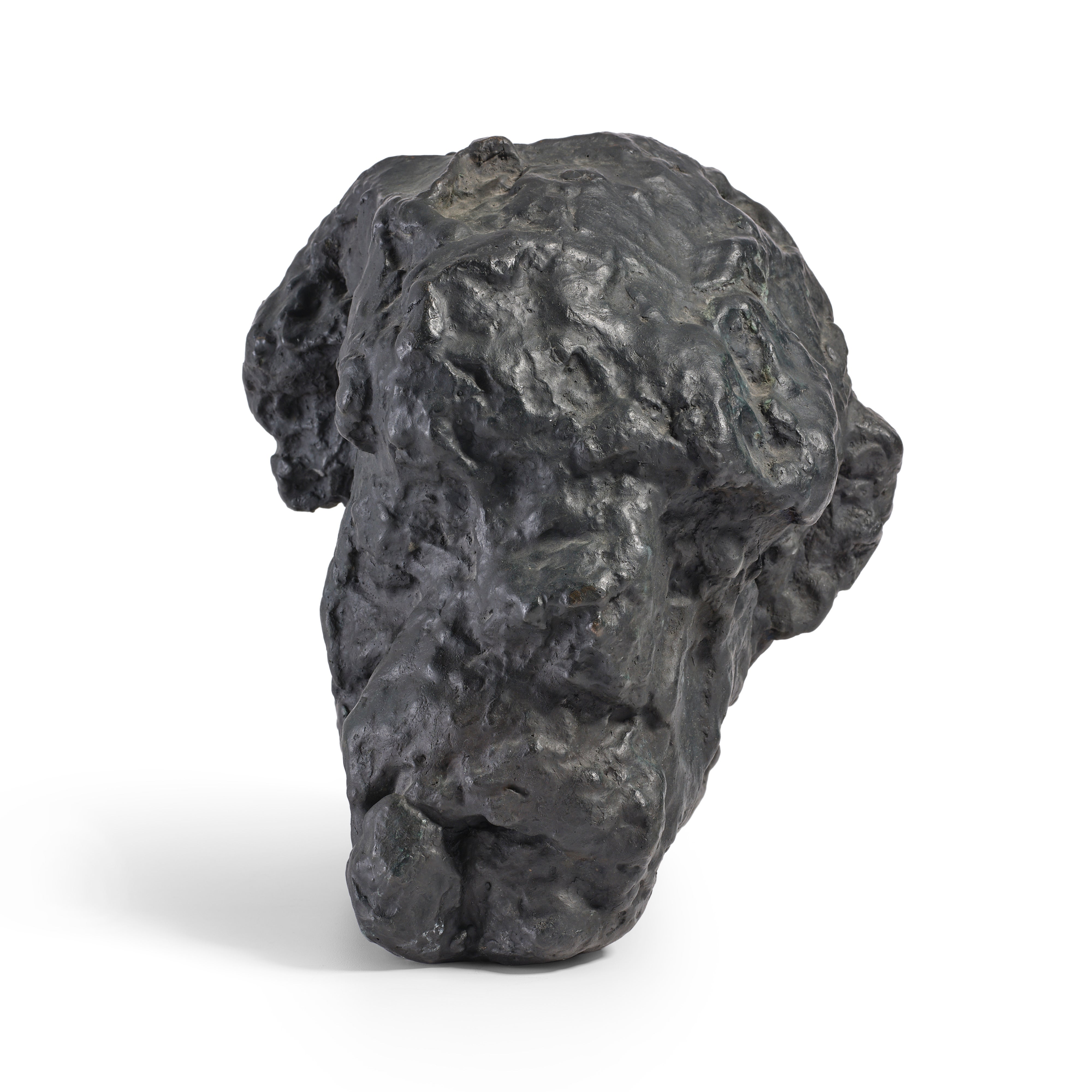 William Tucker — The Good Soldier