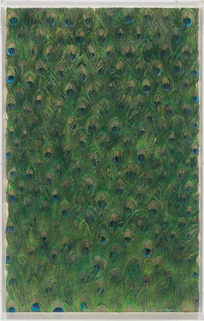 peacock feathers on linen, laid on board in Plexiglas frame