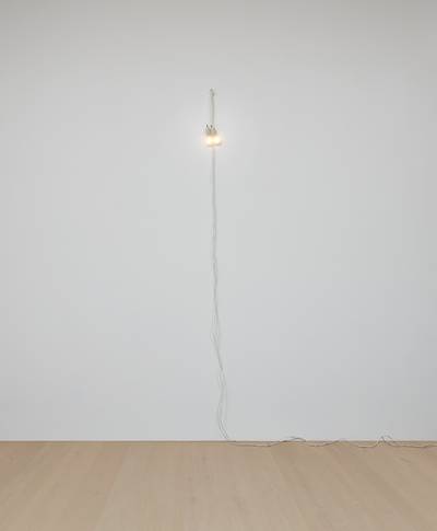 113 in. (287 cm) height