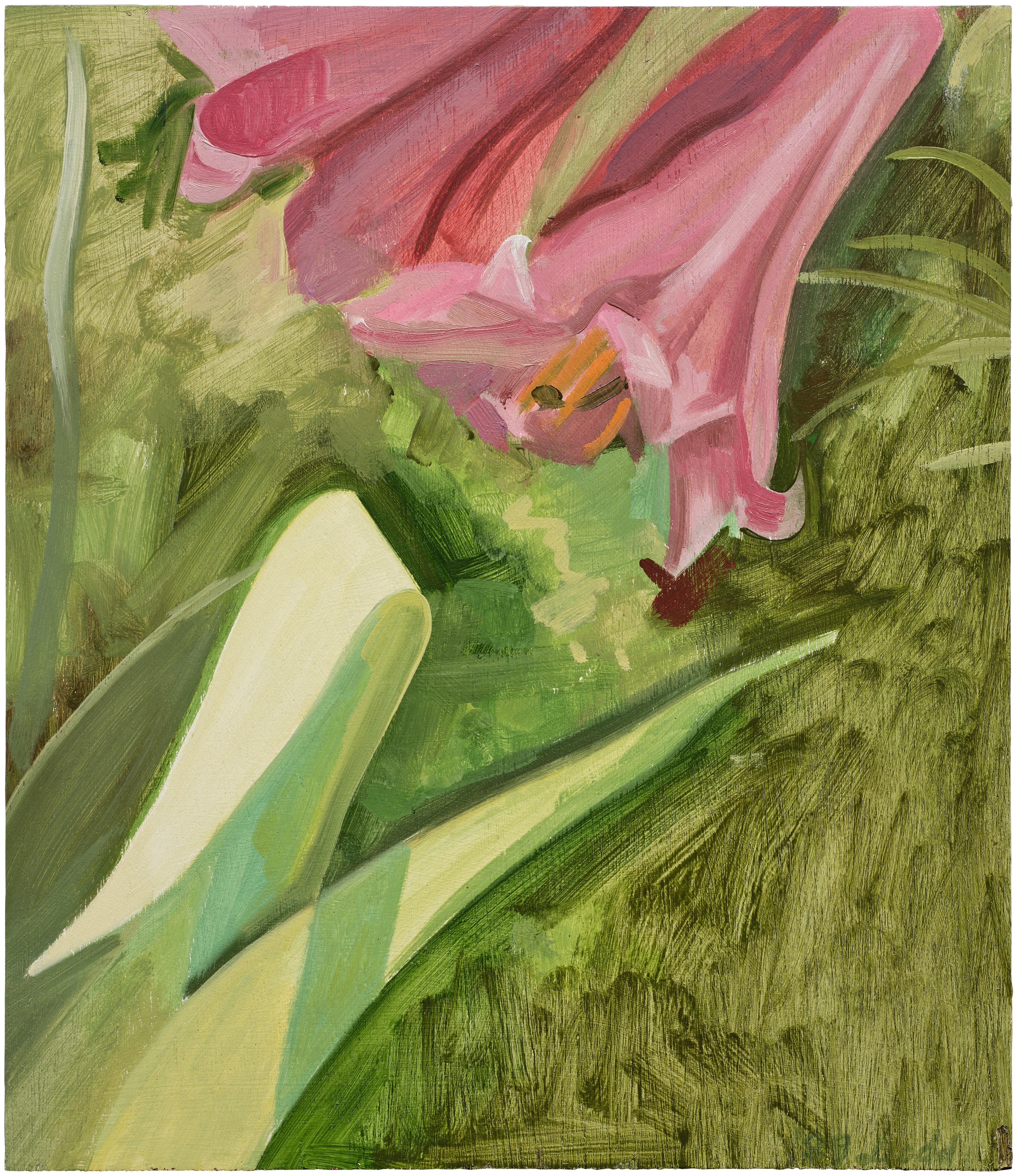 Red Lily + Iris Leaves