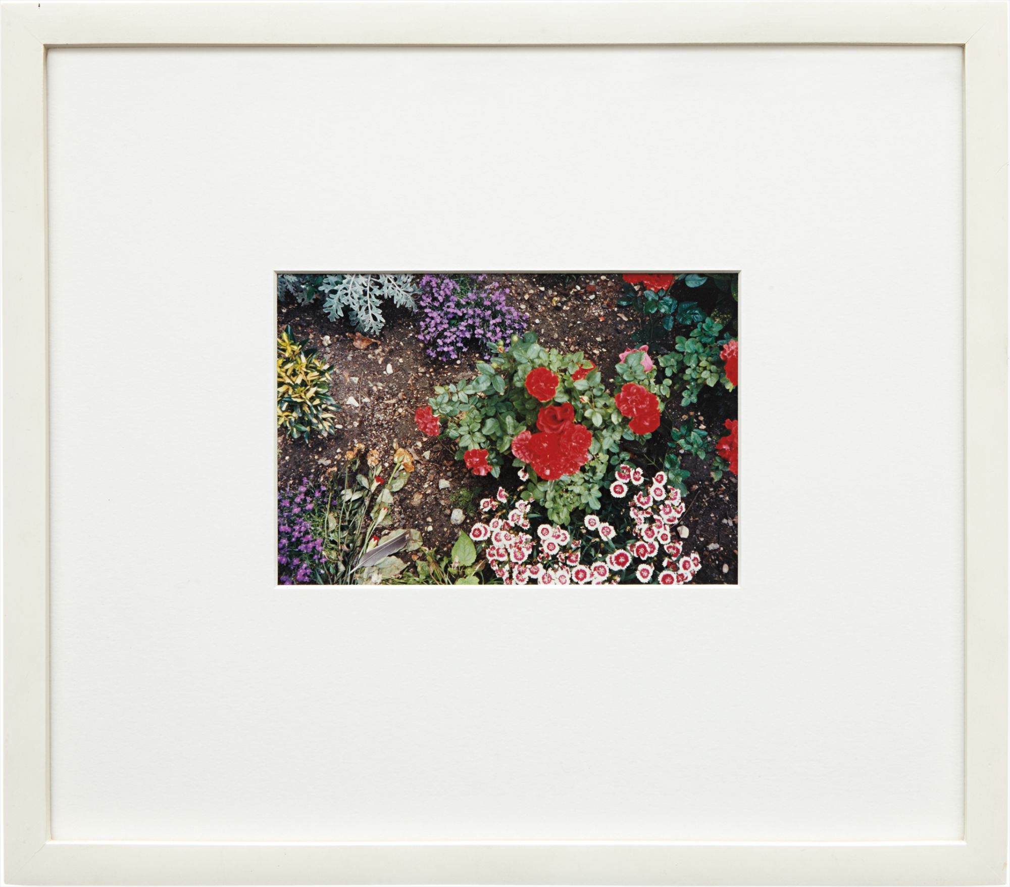 Felix González-Torres — No Title