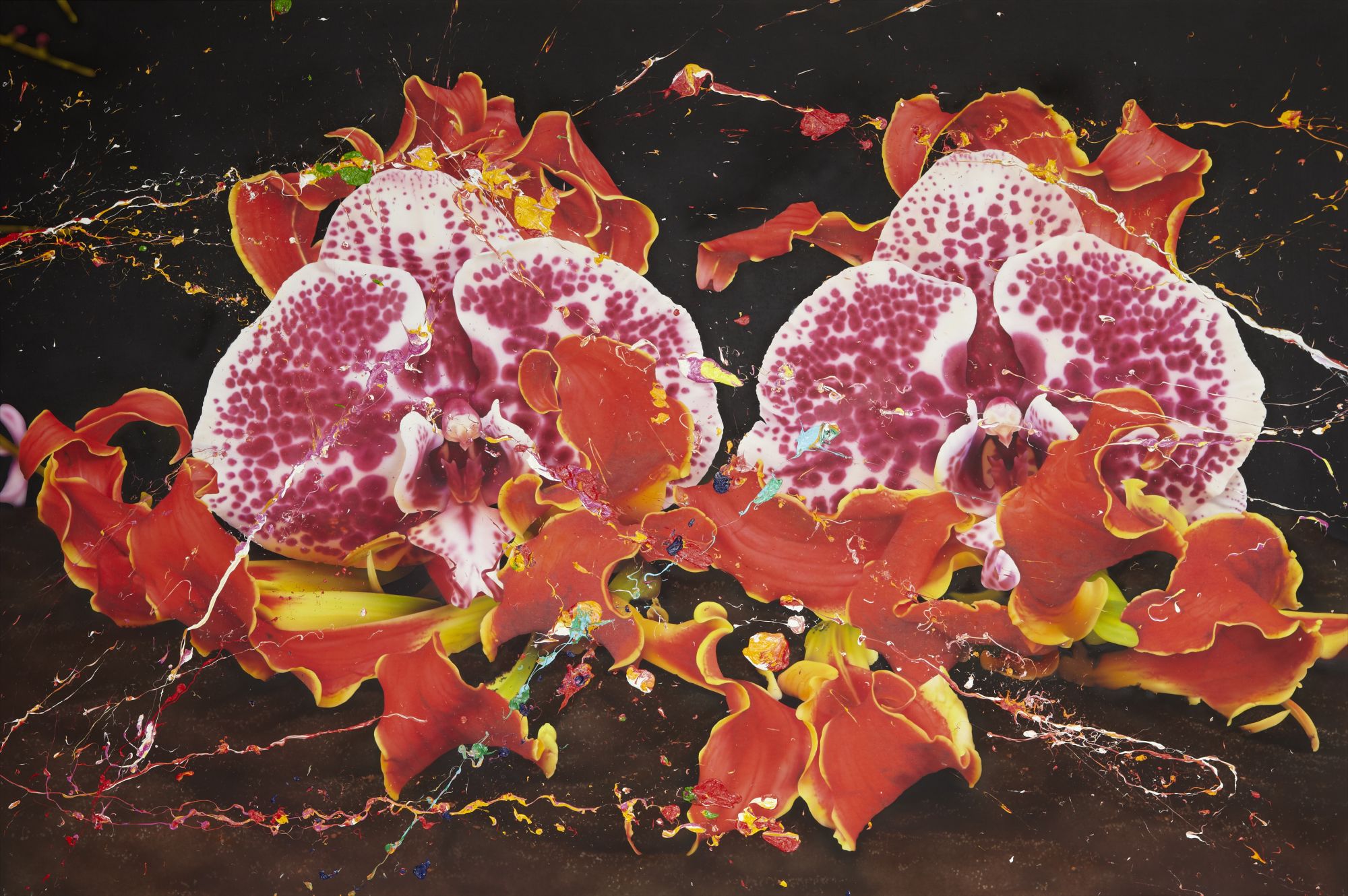 Marc Quinn — Under the Volcano, Batur Lesser Sunda Island