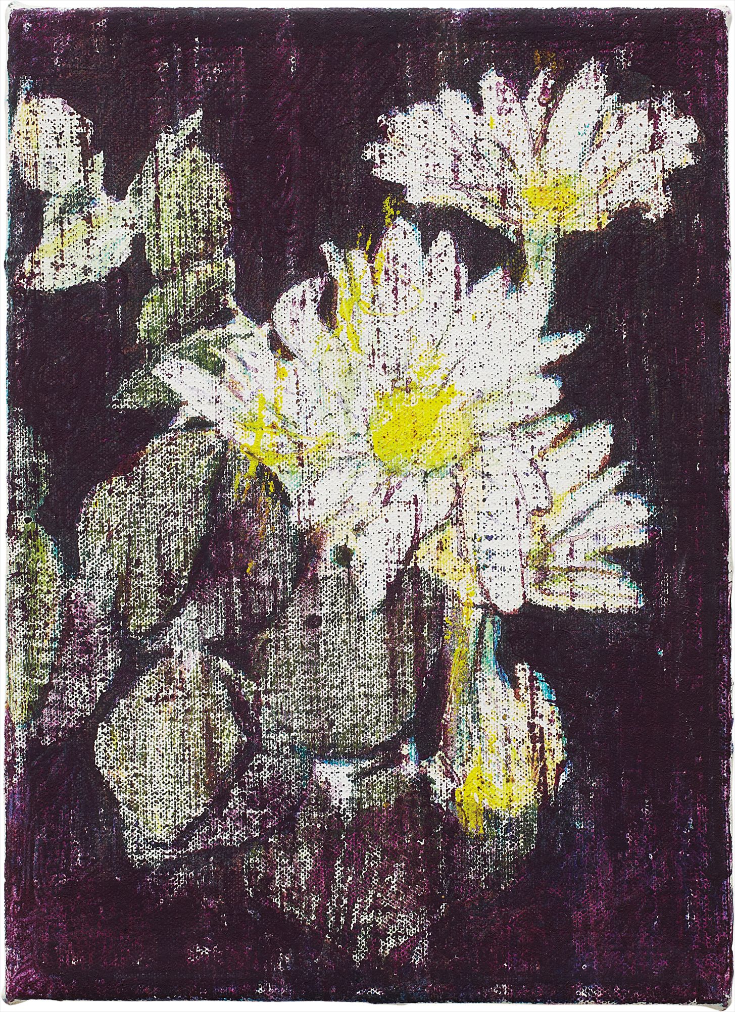 Enoc Pérez — Daisies