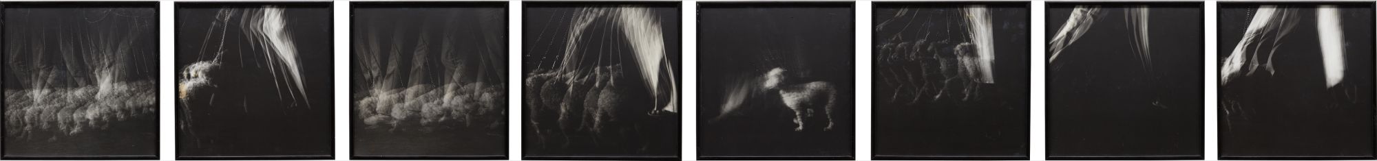 Strobe Series/Futurist: Dog on Leash (for Balla) (Version B)