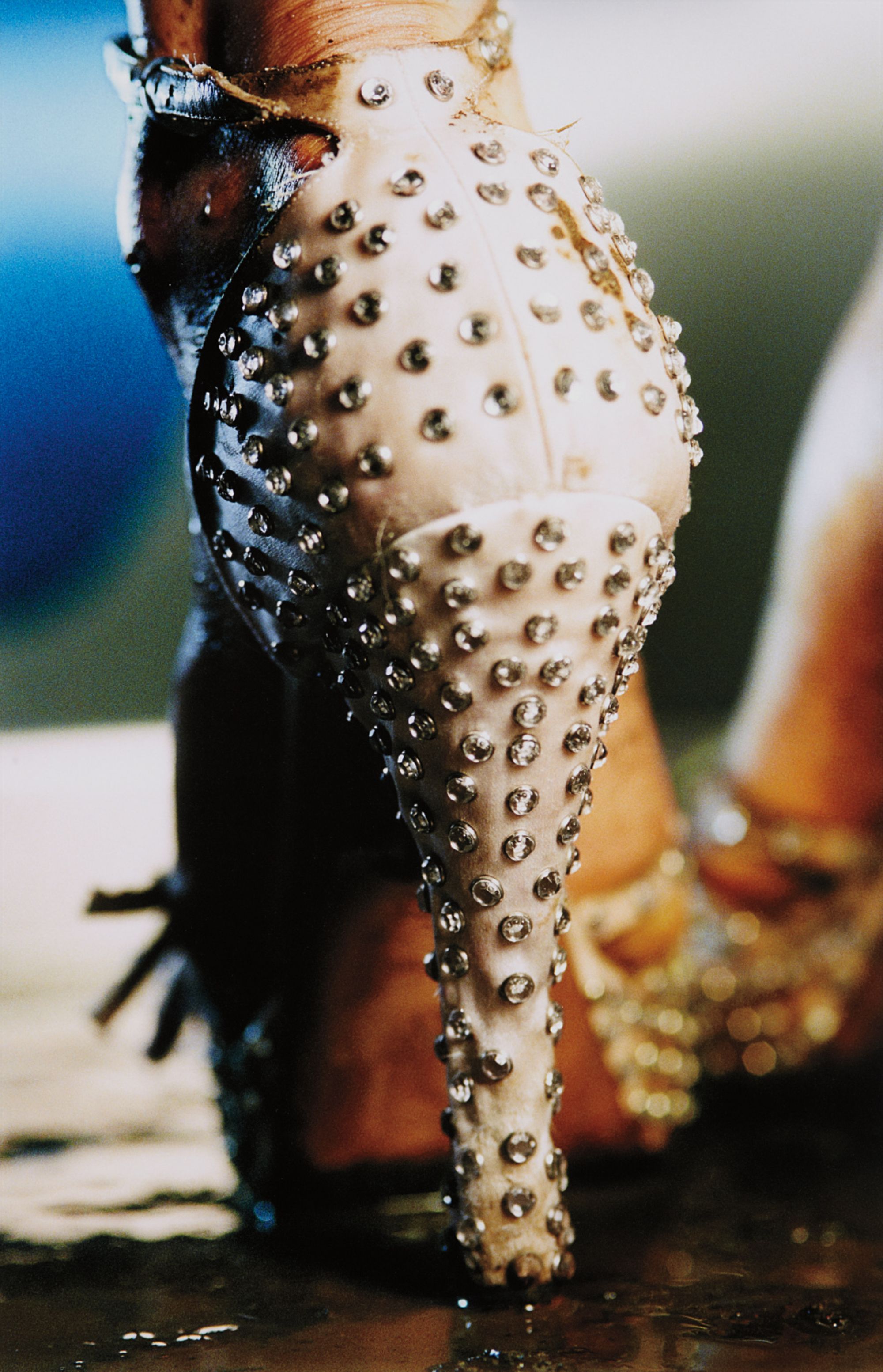 Marilyn Minter — Studs