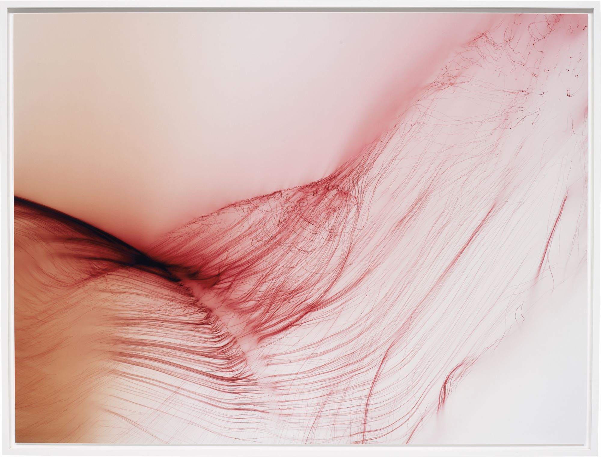 Wolfgang Tillmans — Freischwimmer 23