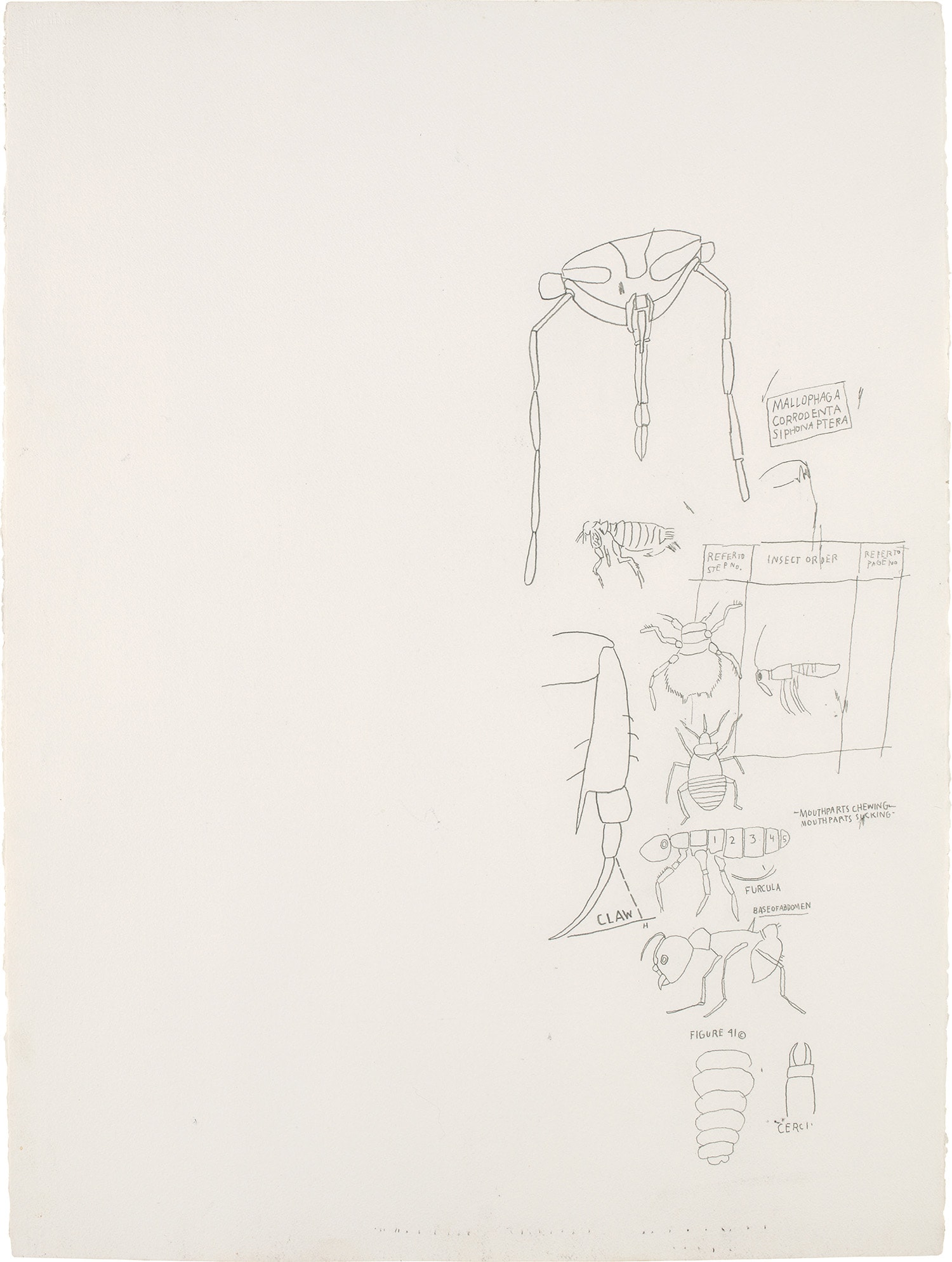 Jean-Michel Basquiat — graphite on paper