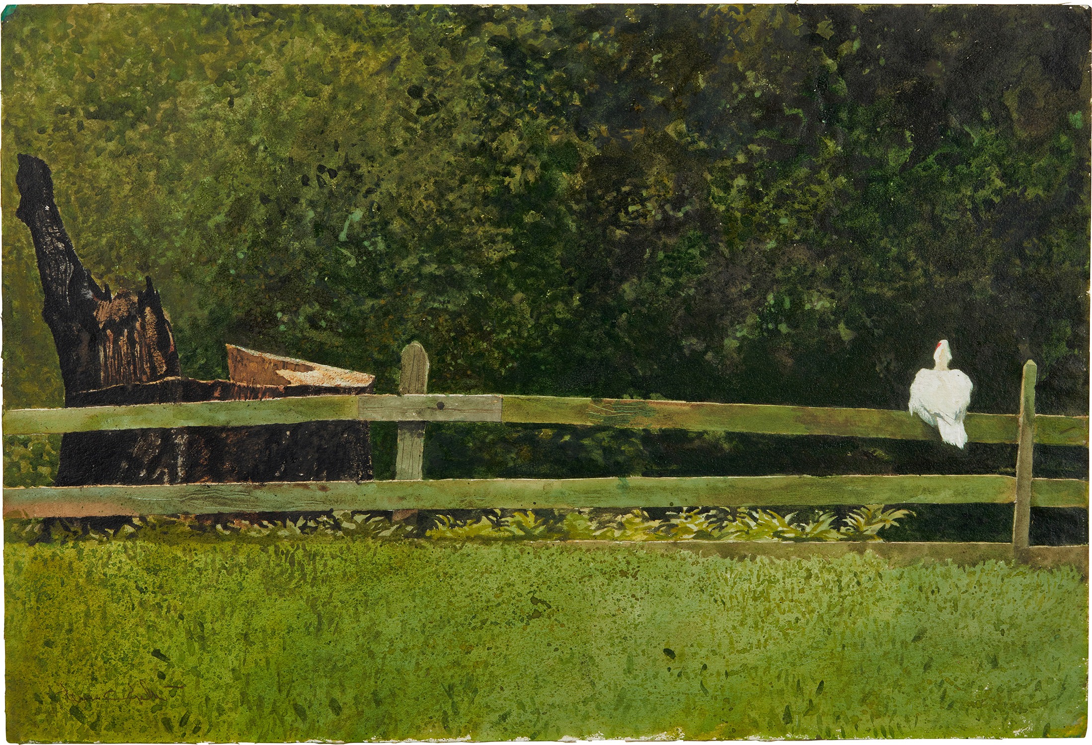 Duck, Fence, and Stump