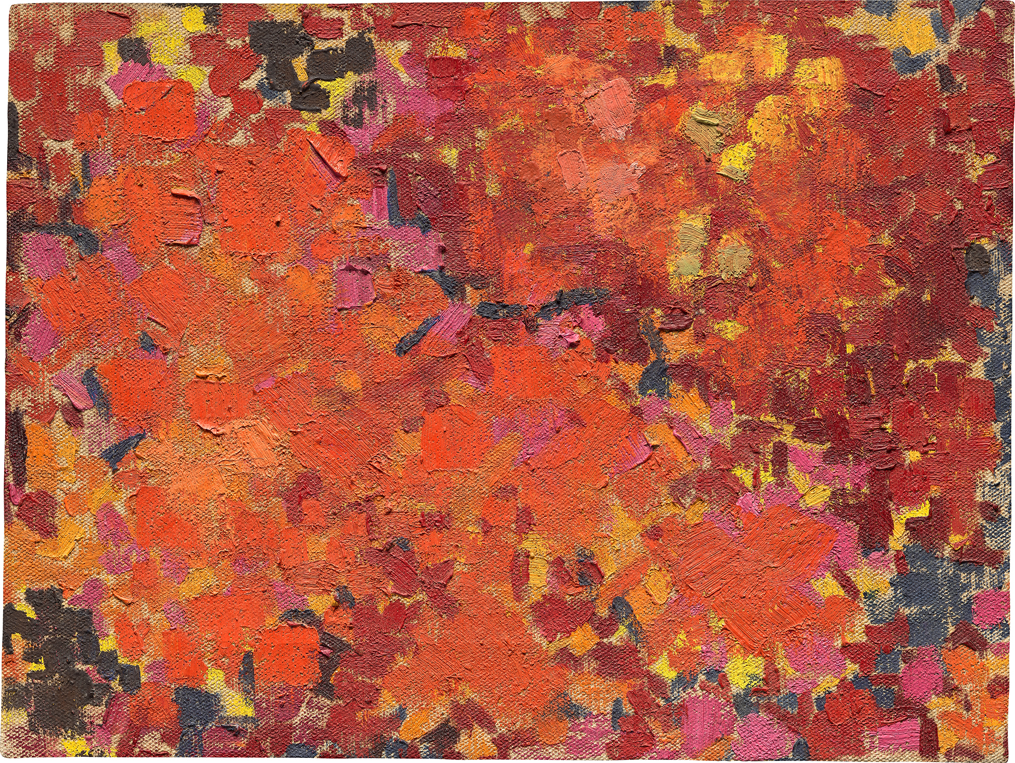 Lynne Drexler — Matoaka Aflame