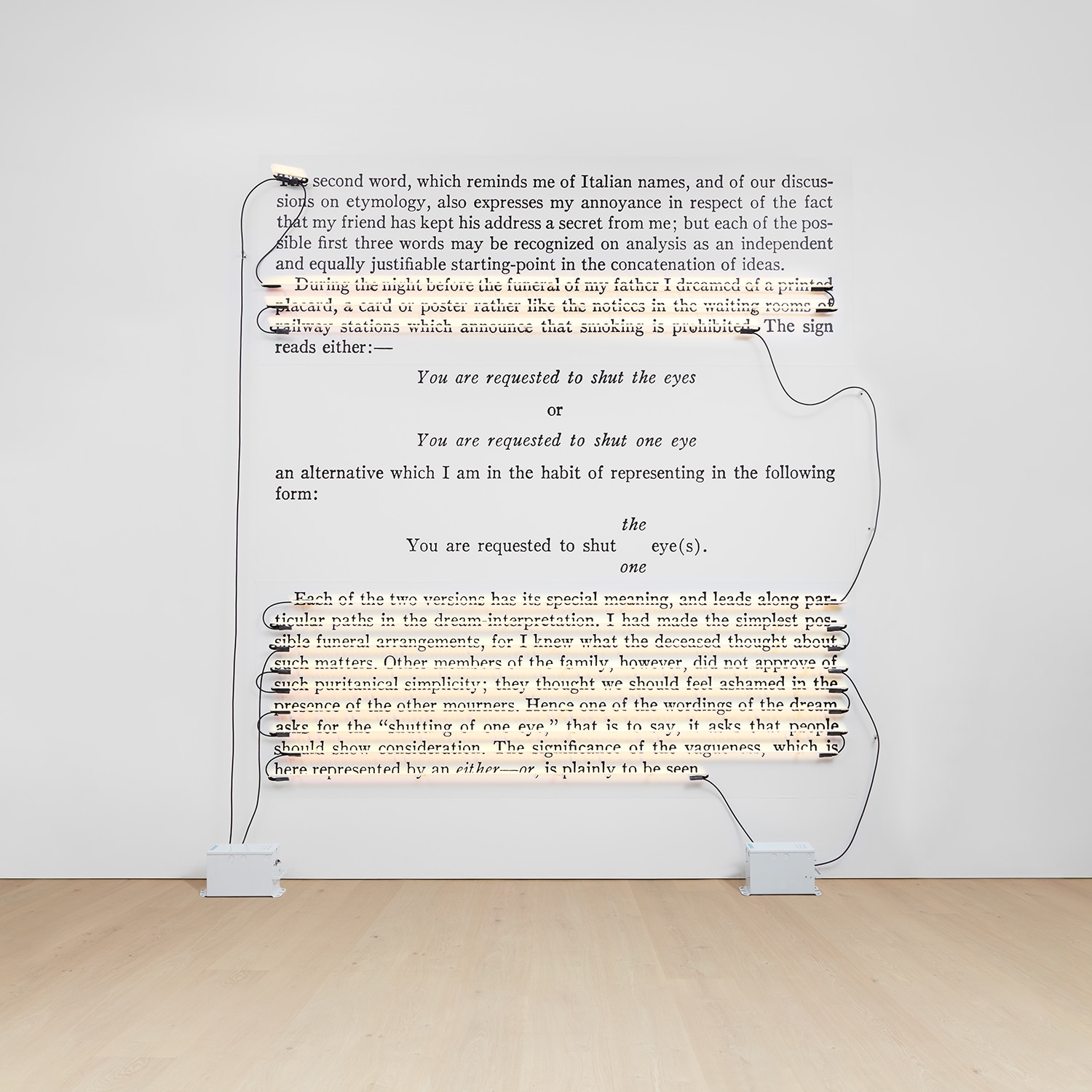 Joseph Kosuth — 'Word, Sentence, Paragraph (Z. & N.) #16'
