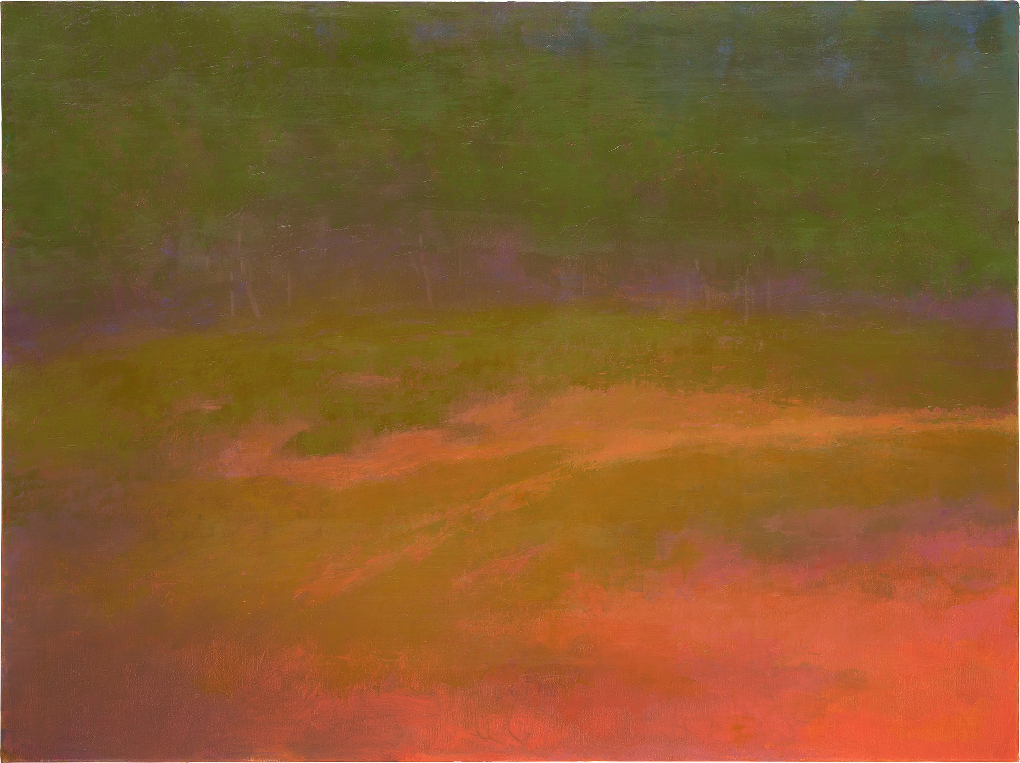 Richard Mayhew — Back Country