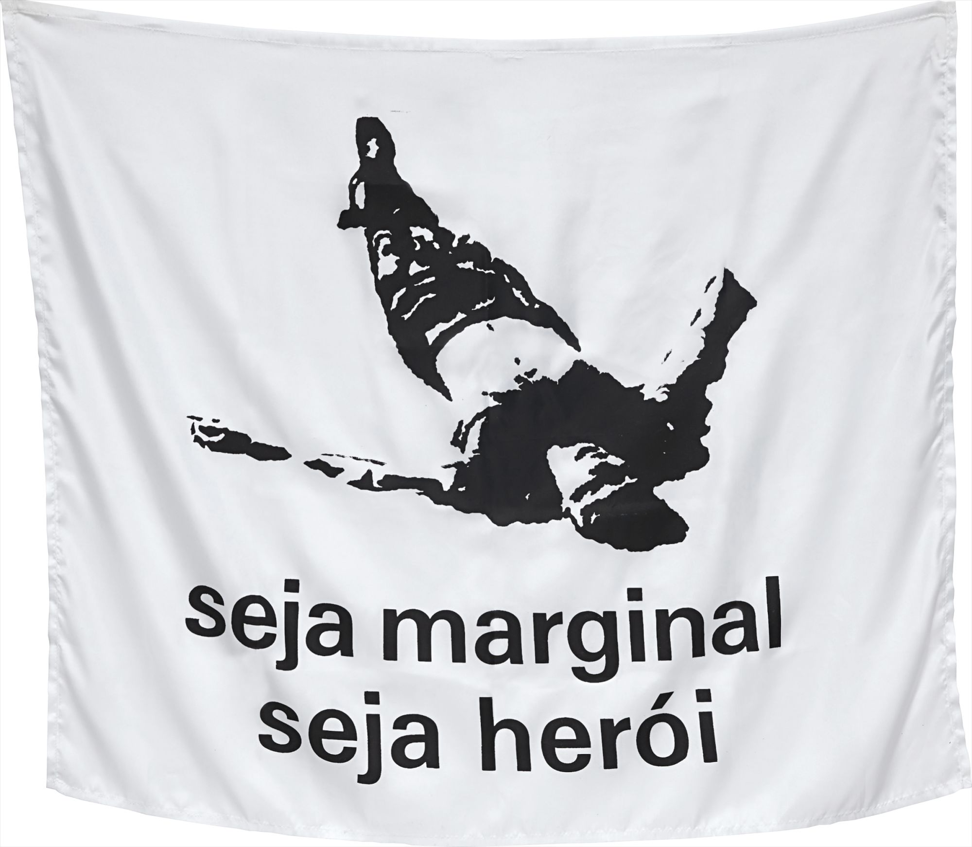 Seja marginal seja herói (Be an Outlaw Be a Hero)