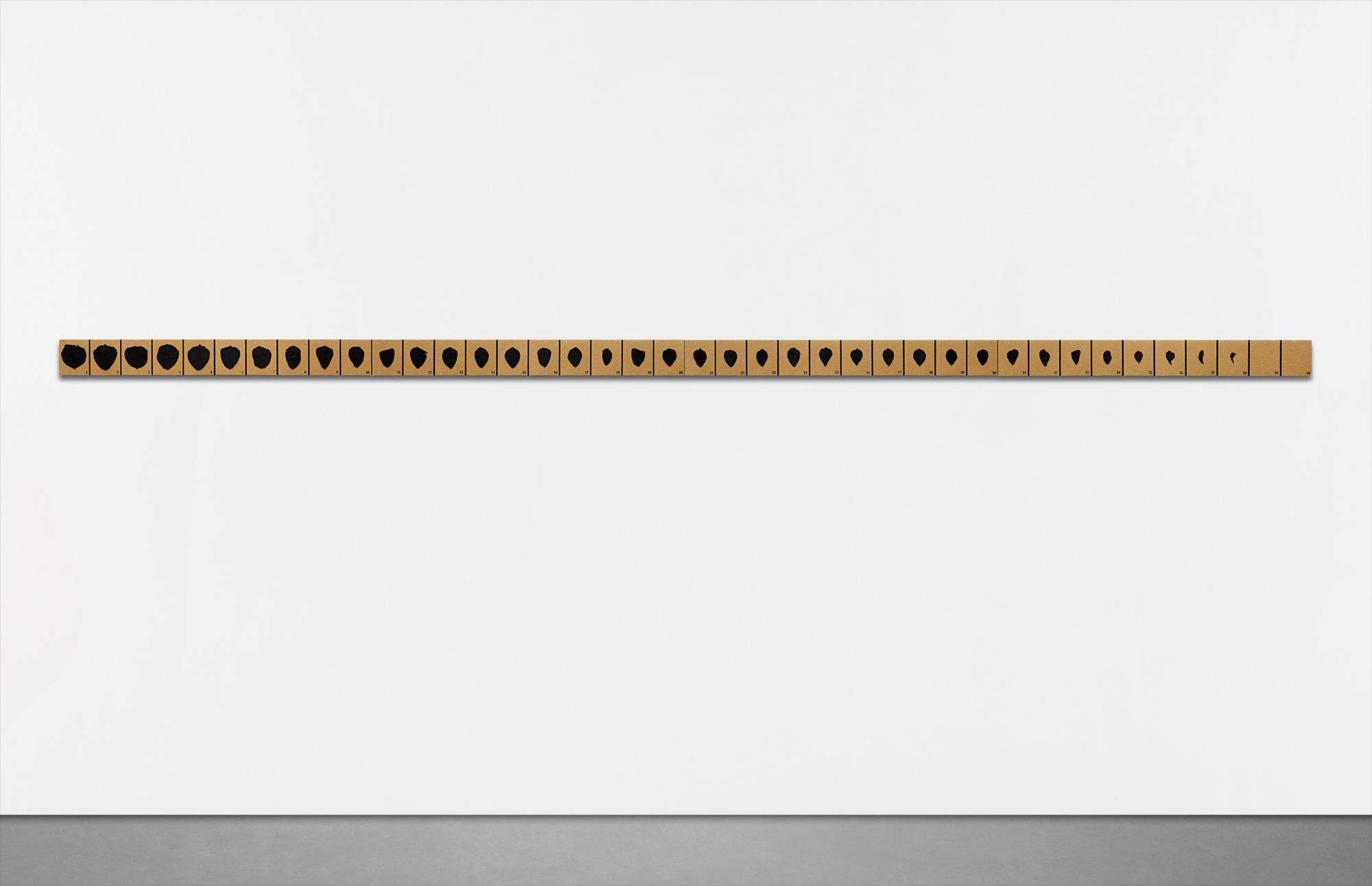 Roberto Obregón — Disección