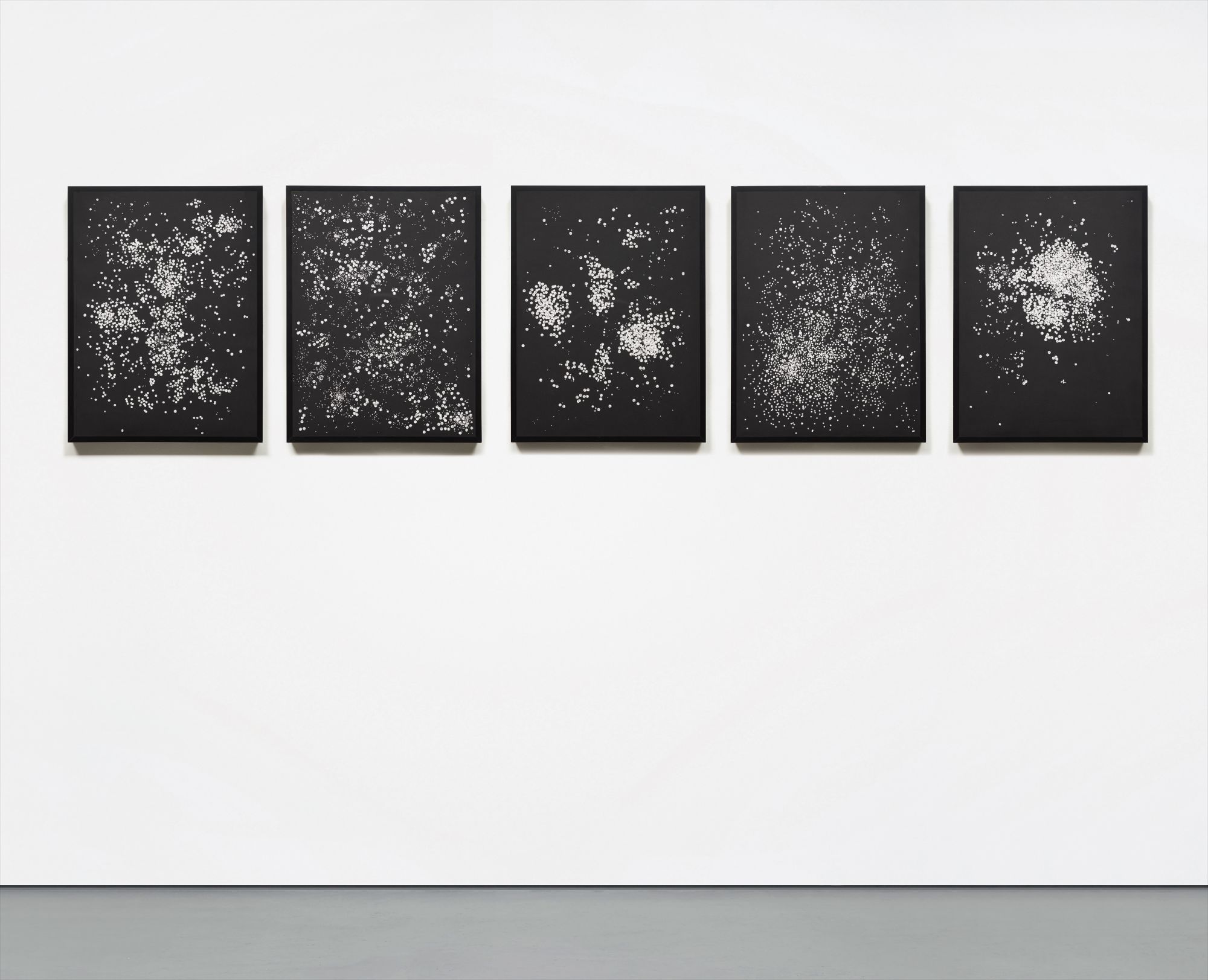 Rivane Neuenschwander — One Thousand and One Possible Nights [N. 51-55]