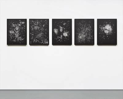 Rivane Neuenschwander