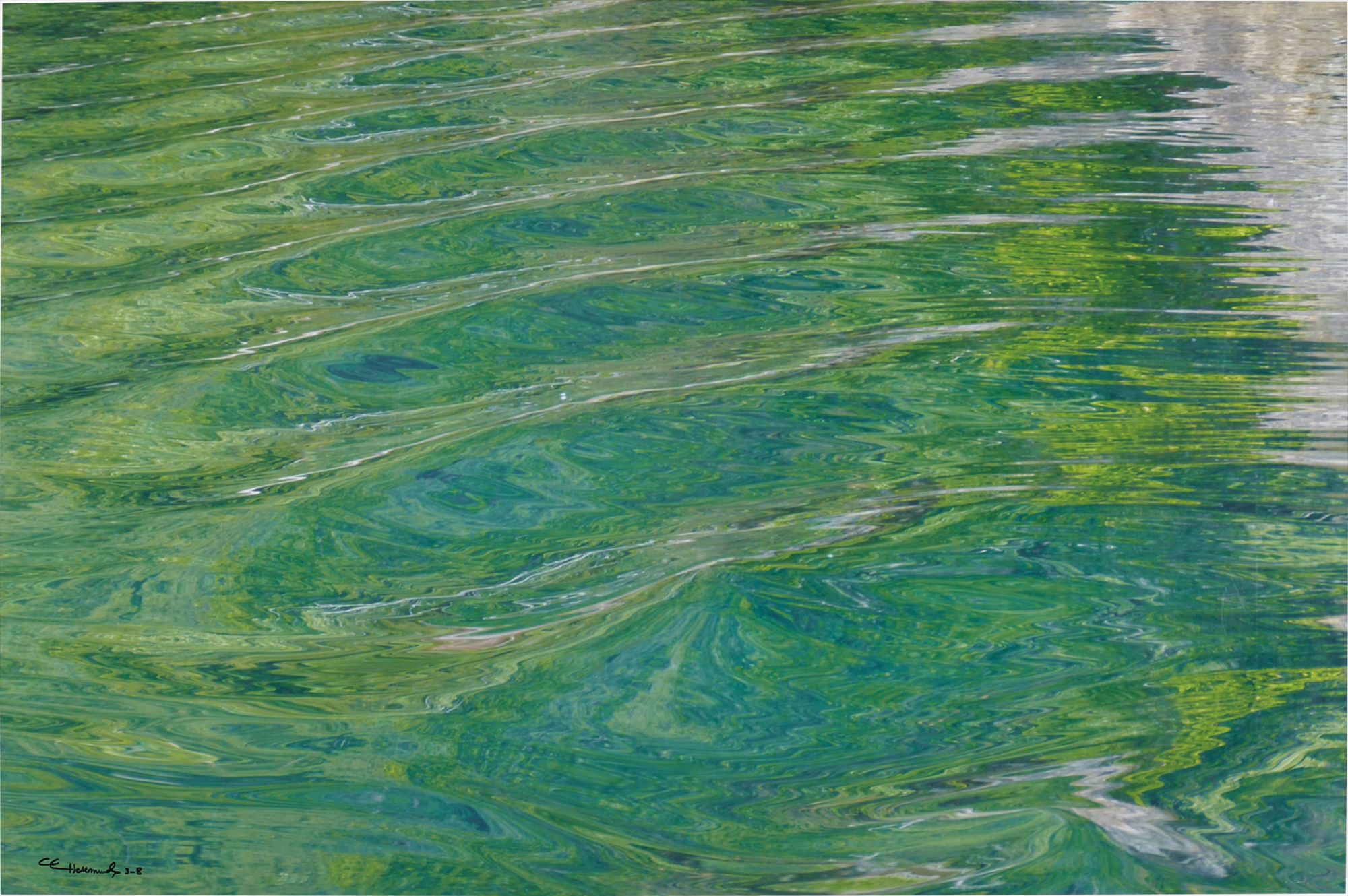 Olas verdes (Green Waves)