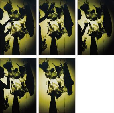 Five works: (i)True Rouge Shadow with Profile I; (ii)True Rouge Shadow with Profile II; (iii)True Rouge Shadow with Profile III; (iv) True Rouge Shadow with Profile IV; (v) True Rouge Shadow with Profile V