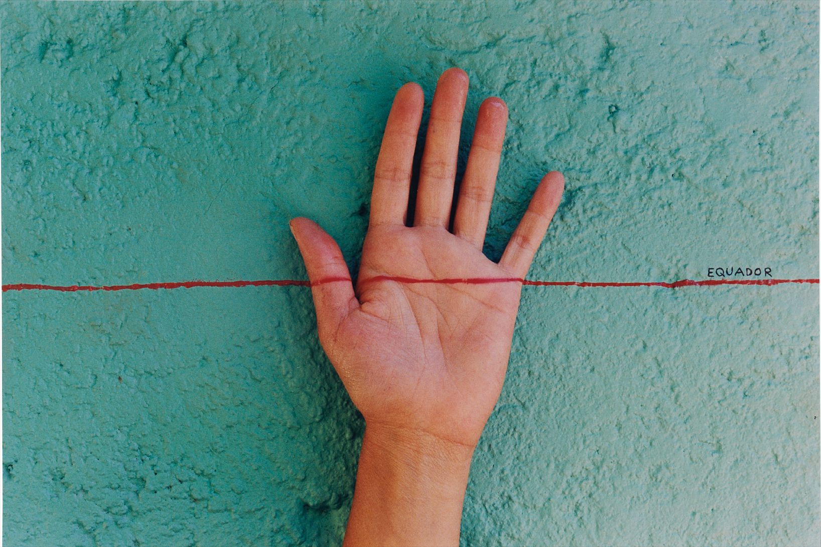 Adriana Varejão — Contingente- Linha do Equador