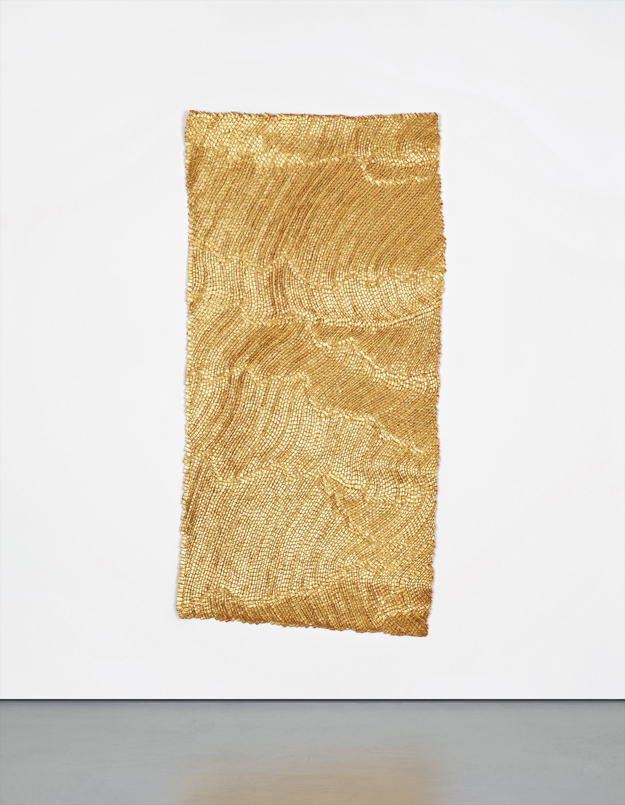 Olga de Amaral — Umbra B