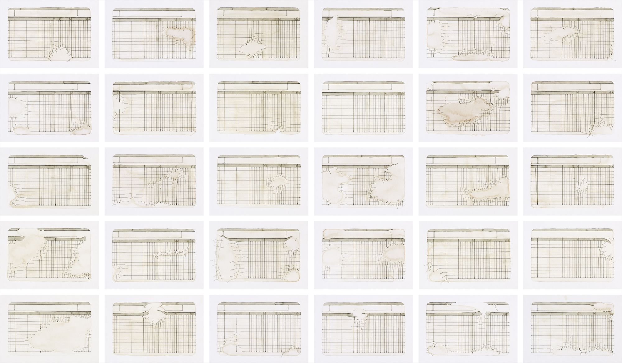 Johanna Calle — Contables