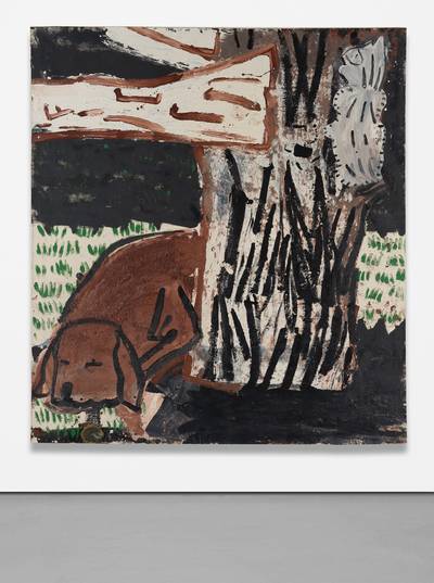 Green Grass, White Cat