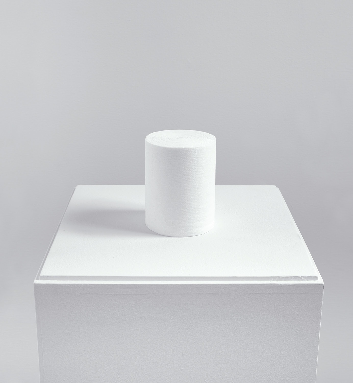 Tom Friedman — toilet paper